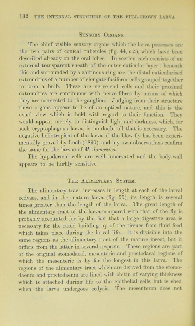 Sensory Organs. The chief visible sensory organs which the larva possesses are the two pairs of conical tubercles (fig. 44, o.t.), which have been described already on the oral lobes. In section each consists of an external transparent sheath of the outer cuticular layer; beneath this and surrounded by a chitinous ring are the distal cuticularised extremities of a number of elongate fusiform cells grouped together to form a bulb. These are nerve-end cells and their proximal extremities are continuous with nerve-fibres by means of which they are connected to the ganglion. Judging from their structure these organs appear to be of an optical nature, and this is the usual view which is held with regard to their function. They would appear merely to distinguish light and darkness, which, for such cryptophagous larva, is no doubt all that is necessary. The negative heliotropism of the larva of the blow-fly has been experi- mentally proved by Loeb (1890), and my own observations confirm the same for the larvae of M. domestica. The hypodermal cells are well innervated and the body-wall appears to be highly sensitive. The Alimentary System. The alimentary tract increases in length at each of the larval ecdyses, and in the mature larva (fig. 55), its length is several times greater than the length of the larva. The great length of the alimentary tract of the larva compared with that of the fly is probably accounted for by the fact that a large digestive area is necessary for the rapid building up of the tissues from fluid food which takes place during the larval life. It is divisible into the same regions as the alimentary tract of the mature insect, but it differs from the latter in several respects. These regions are part of the original stomodaeal, mesenteric and proctodaeal regions of which the mesenteric is by far the longest in this larva. I he regions of the alimentary tract which are derived from the stomo- daeum and proctodaeum are lined with chitin of varying thickness which is attached during life to the epithelial cells, but is shed when the larva undergoes ecdysis. The mesenteron does not