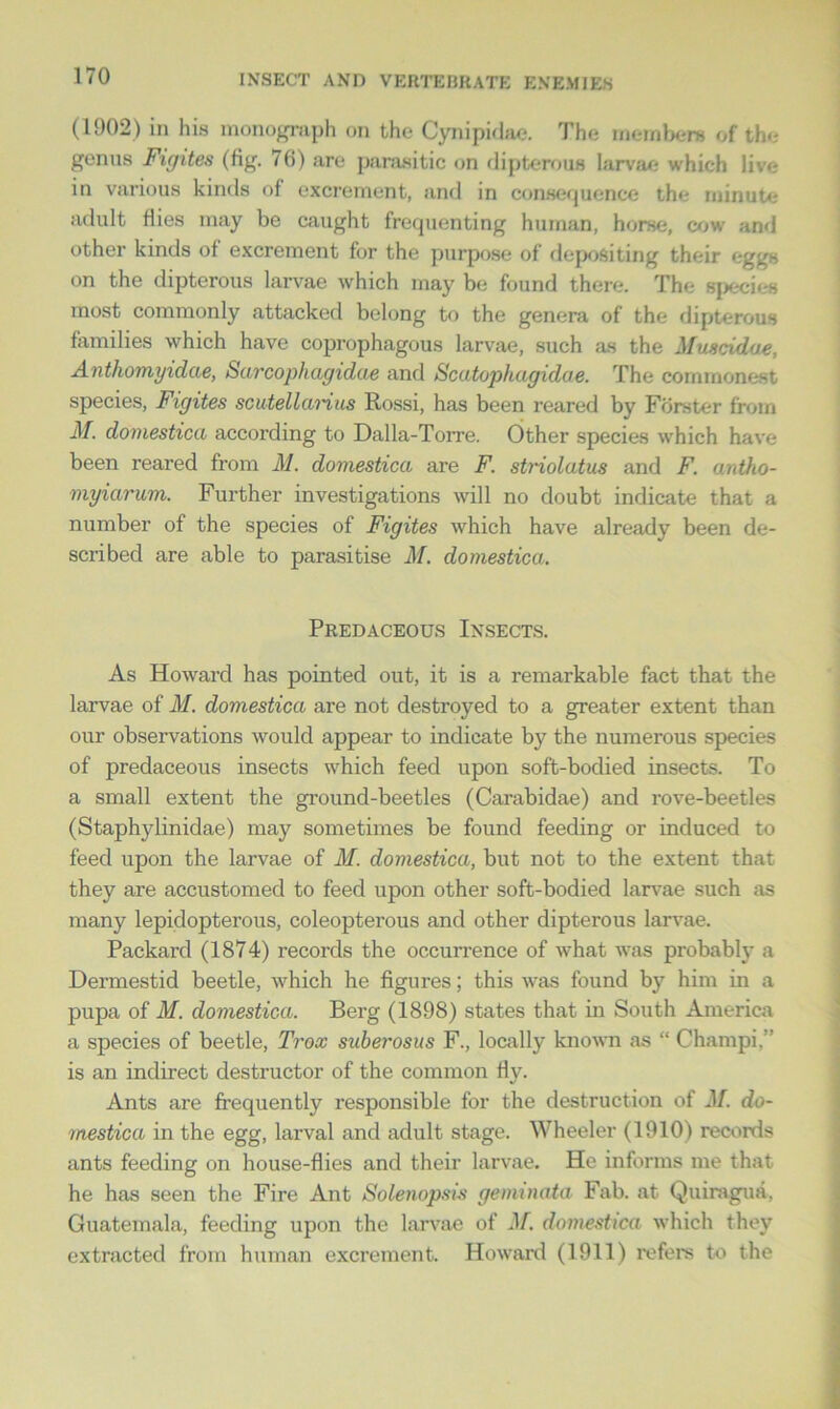 (1902) in his monograph on the Cynipidae. The members of the genus Figites (fig. 76) are parasitic on dipterous larvae which live in various kinds of excrement, and in consequence the minute adult flies may be caught frequenting human, horse, cow and other kinds of excrement for the purpose of depositing their eggs on the dipterous larvae which may be found there. The species most commonly attacked belong to the genera of the dipterous families which have coprophagous larvae, such as the Muscidae, Anthomyidcie, Sarcophagidae and Scatophagidae. The commonest species, Figites scutellarius Rossi, has been reared by Forster from M. domestica according to Dalla-Torre. Other species which have been reared from M. domestica are F. striolatus and F. antho- myiarum. Further investigations will no doubt indicate that a number of the species of Figites which have already been de- scribed are able to parasitise M. domestica. Predaceous Insects. As Howard has pointed out, it is a remarkable fact that the larvae of M. domestica are not destroyed to a greater extent than our observations would appear to indicate by the numerous species of predaceous insects which feed upon soft-bodied insects. To a small extent the ground-beetles (Carabidae) and rove-beetles (Staphylinidae) may sometimes be found feeding or induced to feed upon the larvae of M. domestica, but not to the extent that they are accustomed to feed upon other soft-bodied larvae such as many lepidopterous, coleopterous and other dipterous larvae. Packard (1874) records the occurrence of what was probably a Dermestid beetle, which he figures; this was found by him in a pupa of M. domestica. Berg (1898) states that in South America a species of beetle, Trox suberosus F., locally known as “ Champi.” is an indirect destructor of the common fly. Ants are frequently responsible for the destruction of M. do- mestica in the egg, larval and adult stage. Wheeler (1910) records ants feeding on house-flies and their larvae. He informs me that he has seen the Fire Ant Solenopsis gem in at a Fab. at Quiragua, Guatemala, feeding upon the larvae of M. domestica which they extracted from human excrement. Howard (1911) refers to the