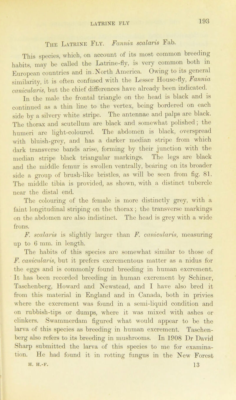 LATRINE FLY The Latrine Fly. Fannia scalaris Fab. This species, which, on account of its most common breeding habits, may be called the Latrine-fly, is very common both in European countries and in.North America. Owing to its general similarity, it is often confused with the Lesser House-fly, Fannia canicularis, but the chief differences have already been indicated. In the male the frontal triangle on the head is black and is continued as a thin line to the vertex, being bordered on each side by a silvery white stripe. The antennae and palps are black. The thorax and scutellum are black and somewhat polished; the humeri are light-coloured. The abdomen is black, overspread with bluish-grey, and has a darker median stripe from which dark transverse bands arise, forming by their junction with the median stripe black triangular markings. The legs are black and the middle femur is swollen ventrally, bearing on its broader side a group of brush-like bristles, as will be seen from fig. 81. The middle tibia is provided, as shown, with a distinct tubercle near the distal end. The colouring of the female is more distinctly grey, with a faint longitudinal striping on the thorax; the transverse markings on the abdomen are also indistinct. The head is grey with a wide frons. F. scalaris is slightly larger than F. canicularis, measuring up to 6 mm. in length. The habits of this species are somewhat similar to those of F. canicularis, but it prefers excrementous matter as a nidus for the eggs and is commonly found breeding in human excrement. It has been recorded breeding in human excrement by Schiner, Taschenberg, Howard and Newstead, and I have also bred it from this material in England and in Canada, both in privies where the excrement was found in a semi-liquid condition and on rubbish-tips or dumps, where it was mixed with ashes or clinkers. Swammerdam figured what would appear to be the larva of this species as breeding in human excrement. Taschen- berg also refers to its breeding in mushrooms. In 1908 Dr David Sharp submitted the larva of this species to me for examina- tion. He had found it in rotting fungus in the New Forest 13 H. H.-F.