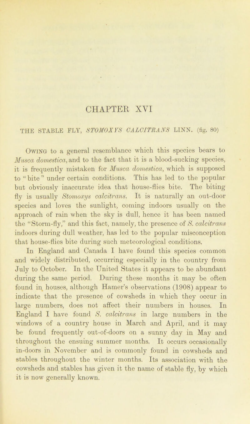 THE STABLE FLY, STOMOXXS GALGITRANS LINN. (fig. 80) Owing to a general resemblance which this species bears to Musca domestica, and to the fact that it is a blood-sucking species, it is frequently mistaken for Musca domestica, which is supposed to “ bite ” under certain conditions. This has led to the popular but obviously inaccurate idea that house-flies bite. The biting fly is usually Stomoxys calcitrans. It is naturally an out-door species and loves the sunlight, coming indoors usually on the approach of rain when the sky is dull, hence it has been named the “Storm-fly,” and this fact, namely, the presence of S. calcitrans indoors during dull weather, has led to the popular misconception that house-flies bite during such meteorological conditions. In England and Canada I have found this species common and widely distributed, occurring especially in the country from July to October. In the United States it appears to be abundant during the same period. During these months it may be often found in houses, although Hamer’s observations (1908) appear to indicate that the presence of cowsheds in which they occur in large numbers, does not affect their numbers in houses. In England I have found 8. calcitrans in large numbers in the windows of a country house in March and April, and it may be found frequently out-of-doors on a sunny day in May and throughout the ensuing summer months. It occurs occasionally in-doors in November and is commonly found in cowsheds and stables throughout the winter months. Its association with the cowsheds and stables has given it the name of stable fly, by which it is now generally known.