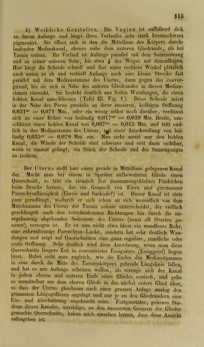 110 b) Weibliche Genitalien. Die Vagina ist aufTallend dick an ihrem Anfänge und längs ihres Verlaufes sehr stark braunschwarz piginentirL Sie öfl'net sich in den die Mittellinie des Körpers durch- laufenden Mediankanal, ebenso nahe dem unteren Gliedrande, als bei Taenia soliiim. Ihr Verlauf ist Anfangs parallel mit dem Samenstrang und an seiner unteren Seite, bis etwa 4 des Weges mit demselbigen. Hier biegt die Scheide schnell und fast unter rechtem Winkel plötzlich nach unten zu ab und verläuft Anfangs noch eine kleine Strecke fast parallel mit dem Medianstamme des Uterus, dann gegen ihn xonver- girend, bis sie sich in Nähe des unteren Gliedrandes in diesen Median- stamm einsenkt. Sie besteht deutlich aus festen Wandungen, die einen hohlen Kanal umschliessen (Tafel III. Fig. 1). Diese Scheide misst in der Nähe des Porus genitalis an ihrer äusseren, kolbigen OelTnung 0,031' = 0,071 Mm., oder ein wenig selbst noch darüber, verdünnt sich zu einer Röhre von beiläufig 0,017' = 0,039 Mm. Breite, um- schliesst einen hohlen Kanal von 0,007' == 0,015 Mm. und tritt end- lich in den Medianstamm des Uterus, i^t einer Anschwellung von bei- läufig 0,035' = 0,079 Mm. ein. Man sieht meist nur den hohlen Kanal, die Wände der Scheide sind schwerer und erst dann sichtbar, wenn es einmal gelingt, ein Stück der Scheide und des Sainenganges zu isoliren. Der Uterus stellt hier einen gerade in Mittellinie gelegenen Kanal dar. Macht man bei einem in Spiritus aufbewahrlen Gliede einen Querschnitt, so tritt ein ziemlich fest zusammengeklebtes Pünktchen beim Drucke heraus, das ein Gemisch von Eiern und geronnener Pareiichymflüssigkeit (Eiweis und Sarkode?) ist. Dieser Kanal ist stets ganz geradlinigt, wodurch er sich schon an sich wesentlich von dem Mittelstamme des Uterus der Taenia solium unterscheidet, der vielfach geschlängelt nach den verschiedensten Richtungen hin durch die un- regelmässig abgehenden Seitenäste des Uterus (sonst oft Ovarien ge- nannt), verzogen ist. Er ist nun nicht etwa bloss ein wandloses Rohr, eine röhrenförmige Parenchym-Lücke, sondern hat sehr deutlich Wan- dungen und zeigt auf Querschnitten eine ganz reguläre, rundliche oder ovale OelTnung. Sehr deutlich wird diese Anordnung, wenn man diese Querschnitte längere Zeit in concentrirter Essigsäure (Essiggeist) liegen lässt. Dabei sieht man zugleich, wie die Enden des Medianstammes in eine durch die Mitte des Taenienkörpers gehende Längslinie fallen, und hat es mir Anfangs scheinen wollen, als verenge sich der Kanal in jedem oberen und unteren Ende eines Gliedes^ conisch, und gehe so unmittelbar aus dem oberen Gliede in das nächst untere Glied über, so dass der Uterus gleichsam nach einer grossen Anlage analog den genannten Längsgefässen angelegt und nur je an den Gliedrändern eine Ein- und Ahschnürung angebracht wäre. Fortgesetztes, genaues Stu- dium dieses Kanales, unzählige, an den äussersten Grenzen der Glieder gemachte Querschnitte, haben mich einsehen lernen, dass diese Ansicht aufzugeben ist.