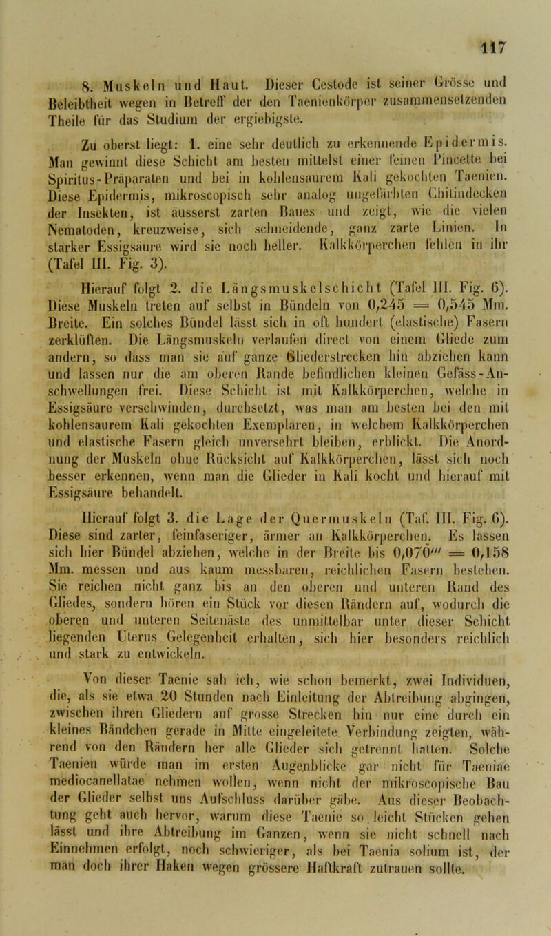8. Muskeln und Haut. Dieser Ceslode ist Seiner Grösse und Beleibtheit wegen in BetrelV der den Taenienkürpcr zusaniinenselzenden Theile für das Studium der ergiebigste. Zu oberst liegt; 1. eine sehr deutlich zu erkennende Epidermis. Man gewinnt diese Schiebt am besten mittelst einer leinen Bincette bei Spiritus-Präparaten und bei in koblensaurem Kali gekoclilen Taenien. Diese Epidermis, mikroscopisch sehr analog ungefärbten Cbilindccken der Insekten, ist äusserst zarten Baues und zeigt, wie die vielen Nematoden, kreuzweise, sich scimeidende, ganz zarte Linien, ln starker Essigsäure wird sie noch heller. Kalkkorpercben fehlen in ihr (Tafel III. Fig. 3). Hierauf folgt 2. die Längsmuskel schiebt (Tafel 111. Fig. G). Diese Muskeln treten auf selbst in Bündeln von 0,245 = 0,545 Mm. Breite. Ein solches Bündel lässt sich in oft hundert (elastische) Fasern zerklüften. Die Längsmuskeln verlaufen direct von einem Gliede zum andern, so dass mati sie auf ganze Gliederstrecken hin abziehen kann und lassen nur die am oberen Bande hefindlichen kleinen Gefäss-An- schwellungen frei. Diese Schicht ist mit Kalkkörperchen, welche in Essigsäure verschwinden, durchsetzt, was man am besten hei den mit kohlensaurem Kali gekochten Exemplaren, in welchem Kalkkörperchen und elastische Fasern gleich unversehrt bleiben, erblickt. Die Anord- nung der Muskeln ohne Rücksicht auf Kalkkörperchen, lässt sich noch besser erkennen, wenn man die Glieder in Kali kocht und hierauf mit Essigsäure behandelt. Hierauf folgt 3. die Lage der Quermuskeln (Taf. III. Fig. 6). Diese sind zarter, feinfaseriger, ärmer an Kalkkörperchen. Es lassen sich hier Bündel abziehen, welche in der Breite bis 0,07(3' = 0,158 Mm. messen und aus kaum messbaren, reichlichen Fasern bestehen. Sie reichen nicht ganz bis an den oberen und unteren Rand des Gliedes, sondern hören ein Stück vor diesen Rändern auf, wodurch die oberen und unteren Seitenäste des unmittelbar unter dieser Schicht liegenden ütcrus Gelegenheit erhalten, sich hier besonders reichlich und stark zu entwickeln. Von dieser Taenie sah ich, wie schon bemerkt, zwei Individuen, die, als sie etwa 20 Stunden nach Einleitung der Ablreihung abgingen, zwiseben ihren Gliedern auf grosse Strecken bin nur eine durch ein kleines Bändchen gerade in Milte eingeleitete Verhindung zeigten, w'äh- rend von den Rändern her alle Glieder sich getrennt hnllcn. Solche Taenien würde man im ersten Augejihlicke gar nicht für Taeniae mediocanellalae nehmen w'ollen, Avenn nicht der mikroscopische Bau der Glieder selbst uns Aufschluss darüber gäbe. Aus dieser Beobach- tung gebt auch hervor, warum diese Taenie so leicht Stücken gehen lässt und ihre Abtreibung im (Lanzen, wenn sie nicht schnell nach Einnehmen erfolgt, noch schwieriger, als hei Taenia solium ist, der man doch ihrer Haken wegen grössere Haftkraft Zutrauen sollte.