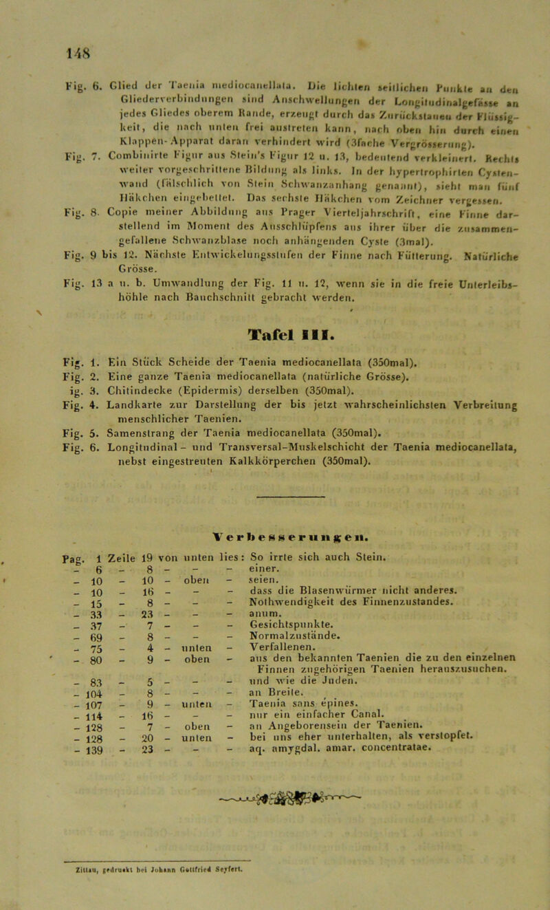 Fig. 6. Glied der Taenia mediocanellala. Die lichleii »eillichen Fnnkle «n den Gliederverbindiingen sind Anschwellungen der Longiludinalgefiiite an jedes Gliedes oberem Rande, erzeug» durch das Zurückstaiieu der Flüssig- keit, die nach unlen frei auslrelen kann, nach oben hin durch einen Klappen-Apparat daran verhindert wird (3f«rhe Vergrösseriing). Fig. 7. Combinirte Figur aus .Slein’s Figur 12 ii. 1.3, bedeutend verkleinert, Rechts weiter vorge.schritlene Ilildiing als links, ln der hypertrophirlen Cysten- wand (fälschlich von .Stein Schwanzanhang genannt), sieht man fünf Häkchen eingebellet. Da.s sechste Häkchen vom Zeichner vergessen. Fig. 8- Copie meiner Abbildung aus Prager Vierteljahrschrift, eine Finne dar- stellend im Moment des Ausschlüpfens aus ihrer über die ziisammen- gefallene Schwauzblase nocli anhängenden Cyste (,3mal). Fig. 9 bis 12. Nächste Knlwickelung.sslufeu der Finne nach Fütterung. Natürliche Grösse. Fig. 1.3 a II. b. Umwandlung der Fig. 11 ii. 12, wenn sie in die freie Unterleibs- höhle nach Bauchschnilt gebracht werden. Tafel III. Fig. 1. Ein Stück Scheide der Taenia mediocanellata (350mal). Fig. 2. Eine ganze Taenia mediocanellata (natürliche Grösse), ig. 3. Chilindecke (Epidermis) derselben (350mal). Fig. 4. Landkarte zur Darstellung der bis jetzt wahrscheinlichsten Verbreitung menschlicher Taenien. Fig. 5. Samenstrang der Taenia mediocanellata (350mal). Fig. 6. Longitudinal - und Transversal-Muskelschicht der Taenia mediocanellata, nebst eingestreuten Kalkkörperchen (350mal). T c r I) e 8 s e r u II g; e 11. ag' , 1 Zeile 19 von unten lies: 6 — 8 - - - 10 - 10 - oben - — 10 - 16 - - - - 15 - 8 - - - - .3.3 - 2.3 - - - .37 - 7 - - 69 - 8 - - - 75 4 - unten - - 80 - 9 - oben - 8.3 5 — - - 104 - 8 - - - - 107 - 9 - unten - 114 - 16 - - - — 128 - 7 - oben - — 128 - 20 - unten - - 139 - 23 - - - So irrte sich auch Stein. einer. seien. dass die Blasenwürmer nicht anderes. Noihwendigkeit des Finnenzustandes, anum. Gesichtspunkte. Normalzustände. Verfallenen. aus den bekannten Taenien die zu den einzelnen Finnen zugehörigen Taenien herauszusuchen, und wie die Juden, an Breite. Taenia snns epines. nur ein einfacher Canal. an Angeborensein der Taenien. bei uns eher unterhalten, als verstopfet. aq. amygdal. amar. concentratae. ZilUu, bfi Jubinn G«Ufrie4 Scrfcrt.