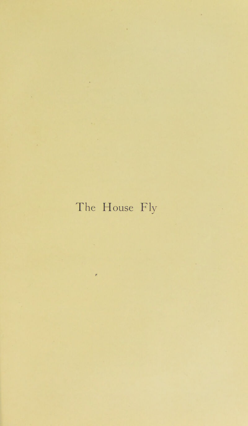 The House Fly