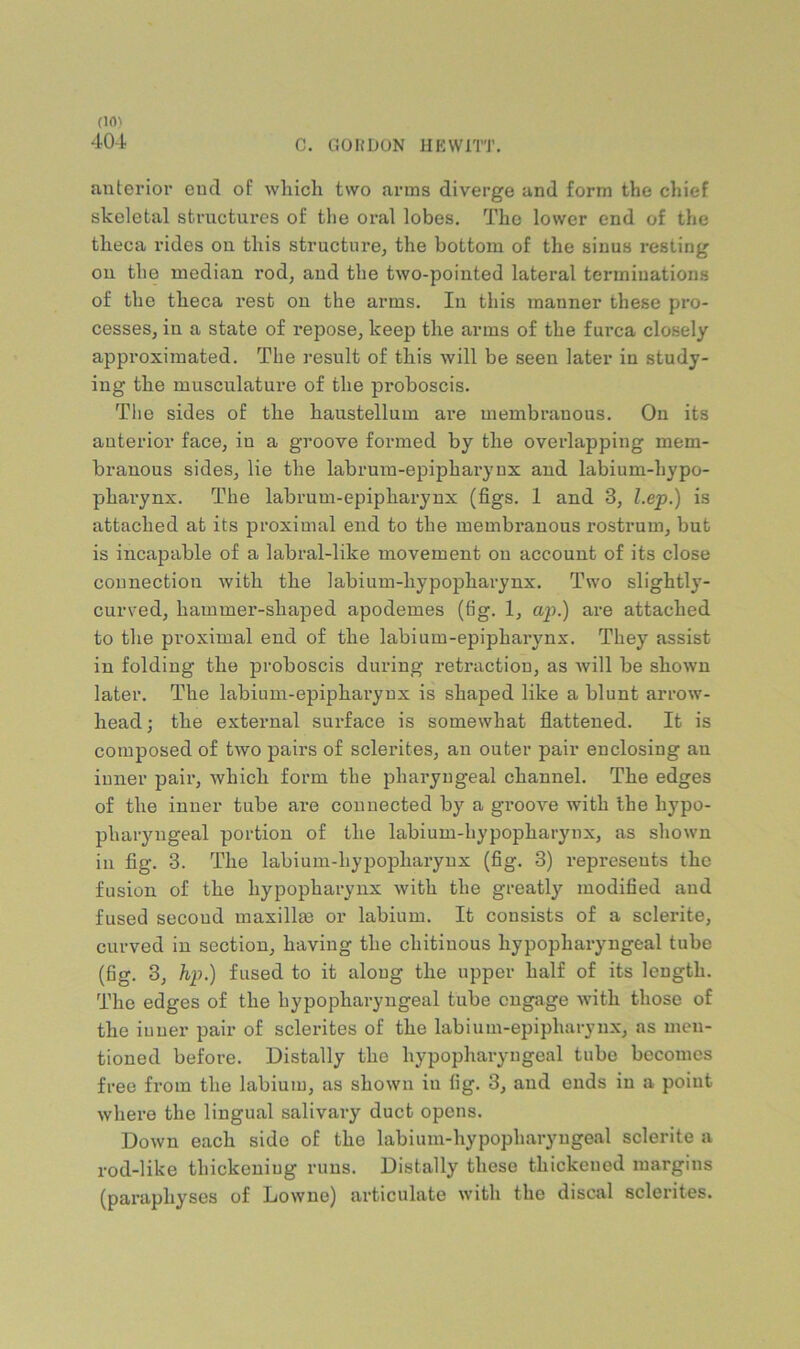 404 C. GOKDON UEVVITT. anterior end of which two arms diverge and form the chief skeletal structures of the oral lobes. The lower end of the theca rides on this structure^ the bottom of the sinus resting ou the median rod, aud the two-pointed lateral terminations of the theca rest on the arms. In this manner these pro- cesses, in a state of repose, keep the arms of the f urea closely approximated. The result of this will be seen later in study- ing the musculature of the proboscis. The sides of the haustellum are membranous. On its anterior face, in a groove formed by the overlapping mem- branous sides, lie the labrum-epipharynx and labium-hypo- pharynx. The labrum-epipharynx (figs. 1 and 3, l.ep.) is attached at its proximal end to the membranous rostrum, but is incapable of a labral-like movement ou account of its close connection with the labium-hypopharynx. Two slightly- curved, hammei’-shaped apodemes (fig. 1, aj>.) are attached to the proximal end of the labium-epipharynx. They assist in folding the proboscis during retraction, as Avill be shown later. The labium-epipharynx is shaped like a blunt arrow- head; the external surface is somewhat flattened. It is composed of two pairs of sclerites, an outer pair enclosing an inner pair, which form the pharyngeal channel. The edges of the inner tube are connected by a groove with the hypo- pharyugeal portion of the labium-hypopharynx, as shown in fig. 3. The labium-hypopharynx (fig. 3) represents the fusion of the hypopharynx with the greatly modified aud fused second maxillm or labium. It consists of a sclerite, curved in section, having the chitiuous hypopharyngeal tube (fig. 3, hp.) fused to it along the upper half of its length. The edges of the hypopharyngeal tube engage with those of the iuner pair of sclerites of the labium-epipharynx, as men- tioned before. Distally the hypopharyngeal tube becomes free from the labium, as shown in fig. 3, aud ends in a point where the lingual salivary duct opens. Down each side of the labium-hypopharyugeal sclerite a rod-like thickening runs. Distally these thickened margins (paraphyses of Lowne) articulate with the discal sclerites.