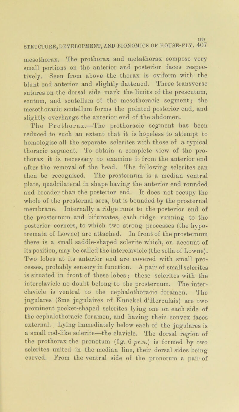 STRUCTURE,DEVELOPMENT, AND BIONOMICS OP HOUSE-FLY. 4U7 mesothorax. The prothorax and raetathorax compose very small portions on the anterior and posterior faces respec- tively. Seen from above the thorax is oviform with the blunt end anterior and slightly flattened. Three transverse sutiu’es on the dorsal side mark the limits of the prescutum, scutum, and scutellum of the mesothoracic segment; the mesothoracic scutellum forms the pointed posterior end, and slightly overhangs the anterior end of the abdomen. The Prothorax.—The prothoracic segment has been reduced to such an extent that it is hopeless to attempt to homologise all the separate sclerites with those of a typical thoracic segment. To obtain a complete view of the pro- thorax it is necessary to examine it from the anterior end after the removal of the head. The following sclerites can then be recognised. The prosternum is a median ventral plate, quadrilateral in shape having the anterior end rounded and broader than the posterior end. It does not occupy the whole of the prosternal area, but is bounded by the prosternal membrane. Internally a ridge runs to the posterior end of the prosternum and bifurcates, each ridge ranning to the posterior corners, to which two strong processes (the hypo- tremata of Lowne) are attached. In front of the prosternum there is a small saddle-shaped sclerite which, on account of its position, may be called the interclavicle (the sella of Lowne). Two lobes at its anterior end ai*e covered with small pro- cesses, probably sensory in function. A pair of small sclerites is situated in front of these lobes ; these sclerites with the interclavicle no doubt belong to the prosternum. The inter- clavicle is ventral to the cephalothoracic foramen. The jugulares (3me jugulaires of Kunckel d’Herculais) are two prominent pocket-shaped sclerites lying one on each side of the cephalothoracic foramen, and having their convex faces external. Lying immediately below each of the jugulares is a small rod-like sclerite—the clavicle. The dorsal region of the prothorax the pronotum (fig. 6 jpr.n.) is formed by two sclerites united in the median line, their dorsal sides being curved. From the ventral side of the pronotum a pair of
