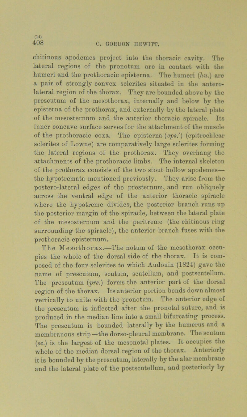 408 C. GORDON nnWITT. chitinous apodemes project into the thoracic cavity. The lateral regions of tlie pronotum are in contact with the humeri and the prothoracic episterna. The humeri {hu.) are a pair of strongly convex sclerites situated in the antero- lateral region of the thorax. They are bounded above by the prescntum of the mesothorax, internally and below by the episterna of the prothorax, and externally by the lateral plate of the mesosternum and the anterior thoracic spiracle. Its inner concave surface serves for the attachment of the muscle of the prothoracic coxa. The episterna {eps.') (epitrochlear sclerites of Lowne) are comparatively large sclerites forming the lateral regions of the prothorax. They overhang the attachments of tbe prothoracic limbs. The internal skeleton of tbe prothorax consists of the two stout hollow apodemes— the hypotremata mentioned previously. They arise from the postero-lateral edges of the prosternum, and run obliquely across the venti*al edge of the anterior thoracic spiracle where the hypotreme divides, the posterior branch runs up the posterior margin of the spiracle, between the lateral plate of the mesosternum and the peritreme (the chitinous ring surrounding the spiracle), the anterior branch fuses with the prothoracic episternum. The Mesothorax.—The notum of the mesothorax occu- pies the whole of the dorsal side of the thorax. It is com- posed of the four sclerites to which Audouin (1824) gave the name of prescutum, scutum, scutellum, and postscutellum. The prescutum (prs.) forms the anterior part of the dorsal region of the thorax. Its anterior portion bends down almost vertically to unite with the pronotum. The anterior edge of the prescutum is inflected after the pronotal suture, and is produced in the median line into a small bifurcating process. The prescutum is bounded laterally by the humerus and a membranous strip—the dorso-pleural membrane. The scutum (sc.) is the largest of the mesonotal plates. It occupies the whole of the median dorsal region of the thorax. Anteriorly it is bounded by the prescutum, laterally by the alar membrane and the lateral plate of the postscutellum, and posteriorly by