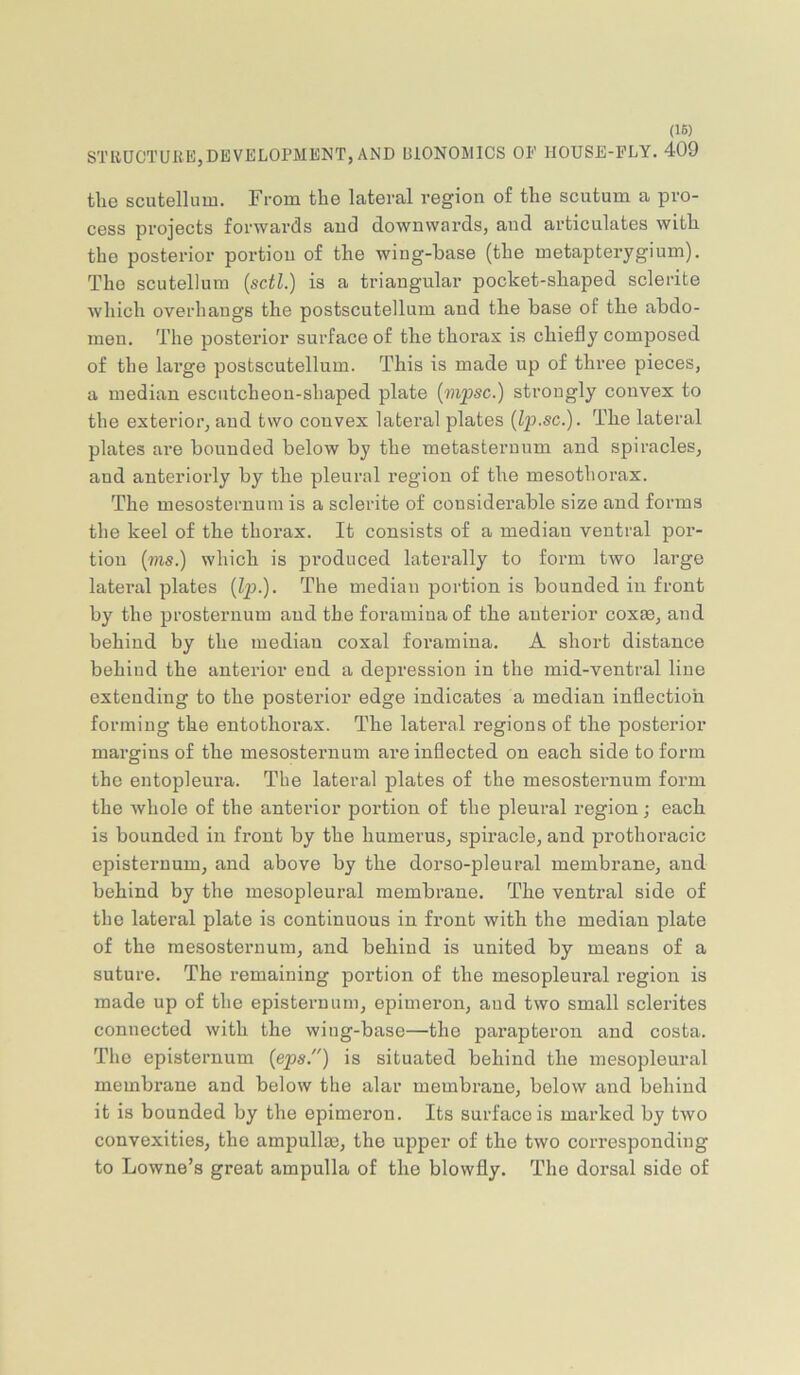 (16) STliUCTUllKjDEVELOPMENT, AND lUONOMlCS OE HOUSE-PLY. 409 the scutellnm. From the lateral region of the scutum a pro- cess projects forwards and downwards, and articulates with the posterior portion of the wing-base (the metapterygium). The scutellum [sctl.) is a triangular pocket-shaped sclerite which overhangs the postscutellum and the base of the abdo- men. The posterior surface of the thorax is chiefly composed of the large postscutellum. This is made up of three pieces, a median escutcheon-shaped plate (mpsc.) strongly convex to the exterior, and two convex lateral plates {Ip.sc.). The lateral plates are bounded below by the metasteruum and spiracles, and anteriorly by the pleural region of the mesothorax. The mesosternum is a sclerite of considerable size and forms the keel of the thorax. It consists of a median ventral por- tion (ms.) which is produced laterally to form two large lateral plates {Ip.). The median portion is bounded in front by the prosternum and the foramina of the anterior coxae, and behind by the median coxal foramina. A short distance behind the anterior end a depression in the mid-ventral line extending to the posterior edge indicates a median inflection forming the entothorax. The lateral regions of the posterior margins of the mesosternum are inflected on each side to form the entopleura. The lateral plates of the mesosternum form the whole of the antei’ior portion of the pleural region j each is bounded in front by the humerus, spiracle, and prothoracio episternum, and above by the dorso-pleural membrane, and behind by the mesopleural membrane. The ventral side of the lateral plate is continuous in front with the median plate of the mesosternum, and behind is united by means of a suture. The remaining portion of the mesopleural region is made up of the episternum, epimeron, aud two small sclerites connected with the wing-base—the parapteron and costa. The episternum {eps.) is situated behind the mesopleural membrane and below the alar membrane, below and behind it is bounded by the epimeron. Its surface is marked by two convexities, the ampullm, the upper of the two corresponding to Lowne’s great ampulla of the blowfly. The dorsal side of