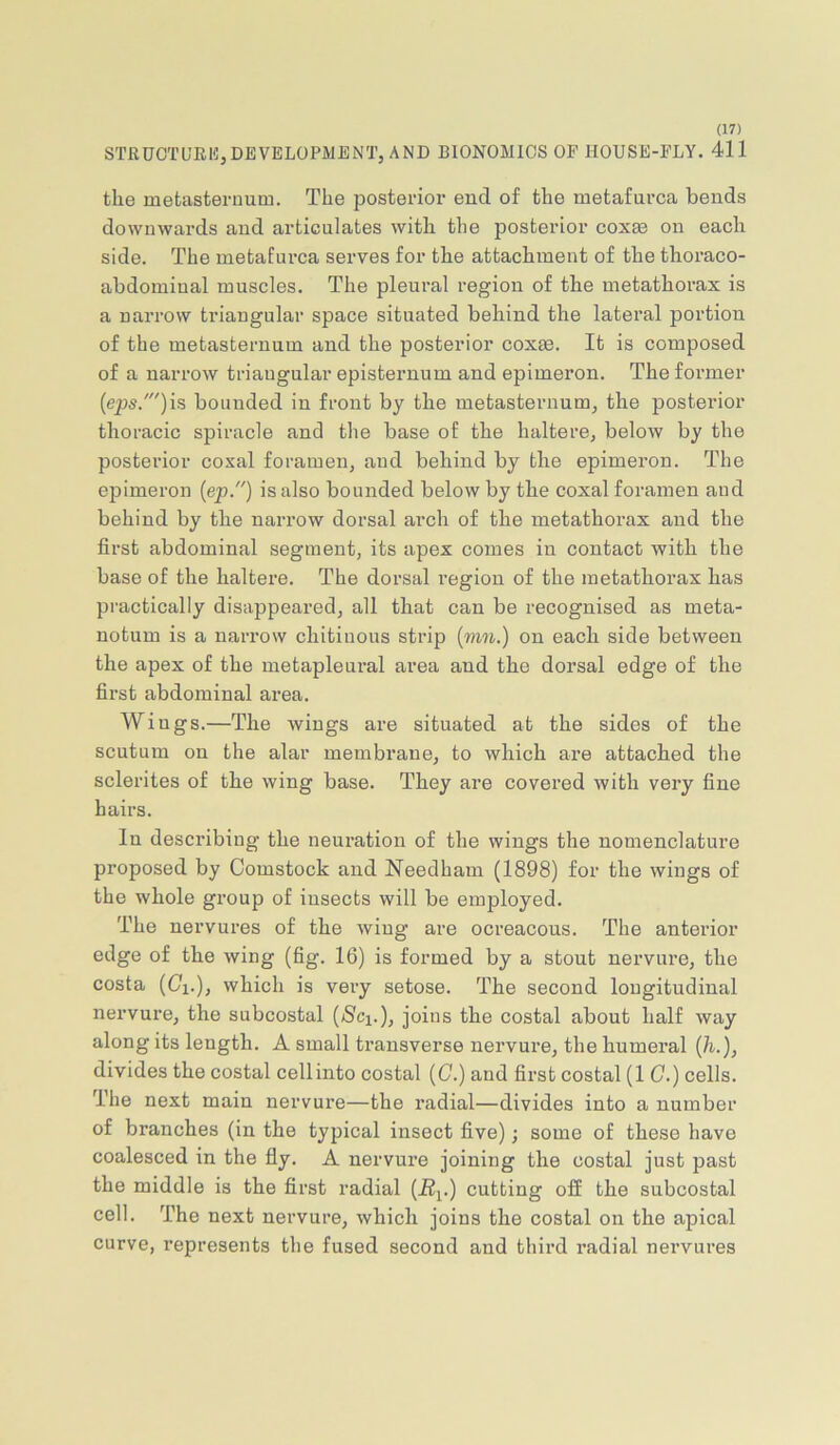 STRUOTUEHj DEVELOPMENT, AND BIONOMICS OP HOUSE-FLY. 411 the metasteruum. The posterior end of the metafurca bends downwards and articulates with the posterior coxee on each side. The metafurca serves for the attachment of the thoraco- abdominal muscles. The pleural region of the metathorax is a narrow triangular space situated behind the lateral portion of the metasternum and the posterior coxm. It is composed of a narrow triangular episternum and epimeron. The former (eps.')is bounded in front by the metasternum, the posterior thoracic spiracle and the base of the haltere, below by the posterior coxal foramen, and behind by the epimeron. The epimeron {ep.) is also bounded below by the coxal foramen and behind by the narrow dorsal arch of the metathorax and the first abdominal segment, its apex comes in contact with the base of the haltere. The dorsal region of the metatliorax has practically disappeared, all that can be recognised as meta- notum is a narrow chitiuous strip (mn.) on each side between the apex of the metapleural area and the dorsal edge of the first abdominal area. Wings.—The wings are situated at the sides of the scutum on the alar membrane, to which are attached the sclerites of the wing base. They are covered with very fine hairs. In desci'ibing the neuration of the wings the nomenclature proposed by Comstock and Needham (1898) for the wings of the whole gi’oup of insects will be employed. The nervures of the wing are ocreacous. The anterior edge of the wing (fig. 16) is formed by a stout nervure, the costa (Cl.), which is very setose. The second longitudinal nervure, the subcostal (Cci.), joins the costal about half way along its length. A small transverse nervure, the humeral (A), divides the costal cell into costal (C.) and first costal (1 C.) cells. The next main nervure—the radial—divides into a number of branches (in the typical insect five); some of these have coalesced in the fly. A nervure joining the costal just past the middle is the first radial (iBi.) cutting off the subcostal cell. The next nervure, which joins the costal on the apical curve, represents the fused second and third radial nervures