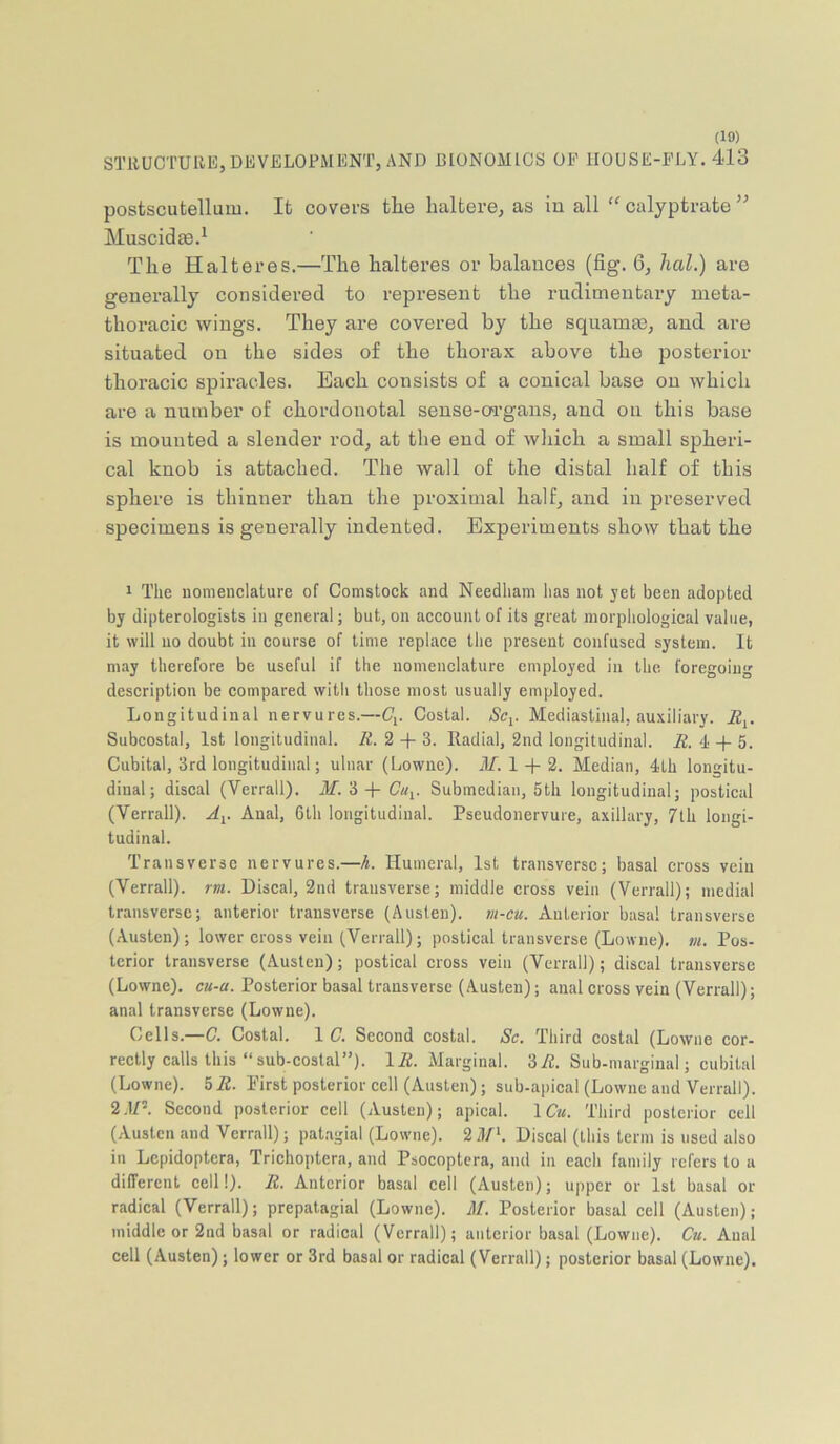 (10) STIIUCTUIIE, DEVELOPMENT, AND BIONOMICS OF HOUSE-FLY. 413 postscutellum. Ifc covers the haltere, as in all calyptrate ” Muscidte.^ The Hal teres.—The halteres or balances (fig. 6, hal.) are generally considered to represent the rudimentary meta- thoracic wings. They are covered by the squama), and are situated on the sides of the thorax above the posterior thoracic spiracles. Each consists of a conical base on which are a number of chordonotal sense-organs, and on this base is mounted a slender rod, at the end of wliich a small spheri- cal knob is attached. The wall of the distal half of this sphere is thinner than the proximal half, and in preserved specimens is generally indented. Experiments show that the 1 The nomenclature of Comstock and Needham has not yet been adopted by dipterologists in general; but, on account of its great morphological value, it will no doubt in course of time replace the present eonfused system. It may therefore be useful if the nomenclature employed in the foregoing description be compared with those most usually employed. Longitudinal nervures.—Ci. Costal. Sc^. Mediastinal, auxiliary. i2,. Subcostal, 1st longitudinal. R. 2 -f- 3. Radial, 2nd longitudinal. R. 4 -|- 5. Cubital, 3rd longitudinal; ulnar (Lowne). M. 1 -j- 2. Median, 4th longitu- dinal; discal (Verrall). M.'i + Cu^. Submedian, 5th longitudinal; postical (Verrall). Anal, 6th longitudinal. Pseudonervure, axillary, 7th longi- tudinal. Transverse nervures.—h. Humeral, 1st transverse; basal cross vein (Verrall). rm. Discal, 2nd transverse; middle cross vein (Verrall); medial transverse; anterior transverse (Austen), m-cu. Anterior basal transverse (Austen); lower cross vein (Verrall); postical transverse (Lowne). m. Pos- terior transverse (Austen); postical cross vein (Verrall); discal transverse (Lowne). cu-a. Posterior basal transverse (Austen); anal cross vein (Verrall); anal transverse (Lowne). Cells.—C. Costal. 1 C, Second costal. Sc. Third costal (Lowne cor- rectly calls this “sub-costal”). 172. Marginal. 3R. Sub-marginal; cubital (Lowne). 572. First posterior cell (Austen); sub-apical (Lowne and Verrall). 2.17’. Second posterior cell (Austen); apical. ICu. Third posterior cell (Austen and Verrall); pat.agial (Lowne). 2 il7‘. Discal (this term is used also in Lepidoptera, Trichoptera, and Psocoptera, and in each family refers to a different cell!). 72. Anterior basal cell (Austen); upper or 1st basal or radical (Verrall); prepatagial (Lowne). JIf. Posterior basal cell (Austen); middle or 2nd basal or radical (Verrall); anterior basal (Lowne). Cu. Anal cell (Austen); lower or 3rd basal or radical (Verrall); posterior basal (Lowne).