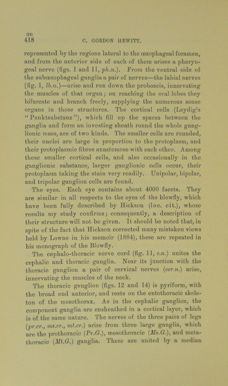 418 0. GORDON HRWITT. represented by the regions lateral to the oesophageal foramen, and from the anterior side of each of them arises a pharyn- geal nerve (figs. 1 and From the ventral side of the suboesophageal ganglia a pair of nerves—the labial nerves (fig. 1, Ih.n.)—arise and run down the proboscis, innervating the muscles of that organ; on reaching the oral lobes they bifurcate and branch freely, supplying the numerous sense organs in those structures. Tlie cortical cells (Leydig’s “ Punktsubstanz ”), which fill up the spaces between the ganglia and form an investing sheath round the whole gang- lionic mass, are of two kinds. The smaller cells are rounded, their nuclei are large in proportion to the protoplasm, and their protoplasmic fibres anastomose with each other. Among these smaller cortical cells, and also occasionally in the ganglionic substance, larger ganglionic cells occur, their protoplasm taking the stain very readily. Unipolar, bipolar, and tripolar ganglion cells are found. The eyes. Each eye contains about 4000 facets. They are similar in all respects to the eyes of the blowfly, which have been fully described by Hickson (loc. cit.), whose results my study confirms; consequently, a description of their structure will not be given. It should be noted that, in spite of the fact that Hickson corrected many mistaken views held by Lowne in his memoir (1884), these are repeated in his monograph of the Blowfly. The cephalo-thoracic nerve cord (fig. 11, c.n.) unites the cephalic and thoracic ganglia. Near its junction with the thoracic ganglion a pair of cervical nerves {cer.n.) arise, innervating the muscles of the neck. The thoracic ganglion (figs. 12 and 14) is pyriform, with the broad end aiaterior, and rests on the entothoracic skele- ton of the mesothorax. As in the cephalic ganglion, the component ganglia are ensheathed in a cortical layer, which is of the same nature. The nerves of the three pairs of legs (pr.cr., ms.cr., mt.cr.) arise from throe large ganglia, which are the prothoracic {Pr.G.), mosothoracic (Ms.G.), and meta- thoracic {Mt,0.) ganglia. These are united by a median
