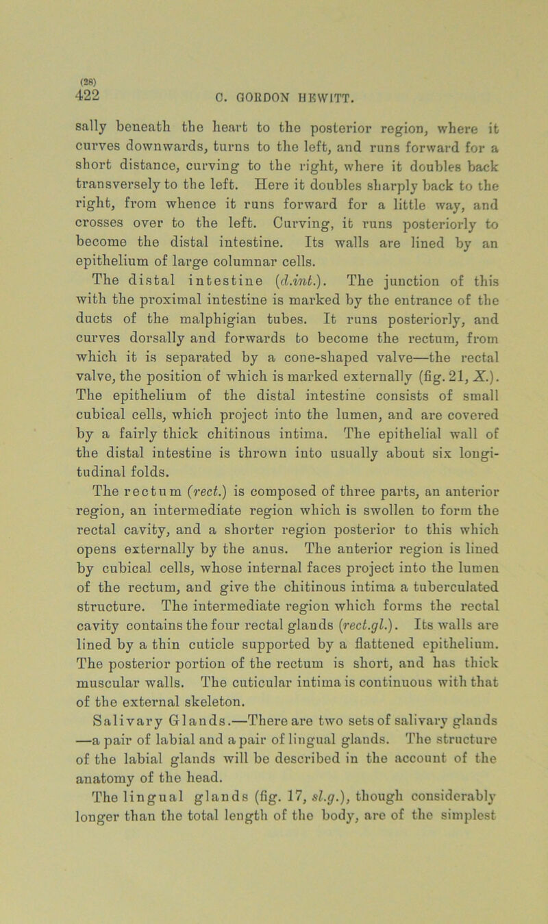 (2fi) 422 C. GORDON HKWITT. sally beneath the heart to the posterior region, where it curves downwards, turns to the left, and runs forward for a short distance, curving to the right, where it doubles back ti'ansversely to the left. Here it doubles sharply back to the right, from whence it runs forward for a little way, and crosses over to the left. Curving, it runs posteriorly to become the distal intestine. Its walls are lined by an epithelium of large columnar cells. The distal intestine [d.int.). The junction of this with the proximal intestine is marked by the entrance of the ducts of the malphigian tubes. It runs posteriorly, and curves dorsally and forwards to become the rectum, from which it is separated by a cone-shaped valve—the rectal valve, the position of which is marked externally (fig. 21, X.). The epithelium of the distal intestine consists of small cubical cells, which project into the lumen, and are covered by a fairly thick chitinous intima. The epithelial wall of the distal intestine is thrown into usually about six longi- tudinal folds. The rectum (rect.) is composed of three parts, an anterior region, an intermediate region which is swollen to form the rectal cavity, and a shorter region posterior to this which opens externally by the anus. The anterior region is lined by cubical cells, whose internal faces project into the lumen of the rectum, and give the chitinous intima a tuberculated structure. The intermediate region which forms the rectal cavity contains the four rectal glands (rect.gl.). Its walls are lined by a thin cuticle supported by a flattened epithelium. The posterior portion of the rectum is short, and has thick muscular walls. The cuticular intima is continnous with that of the external skeleton. Salivary Glands.—There are two sets of salivary glands —a pair of labial and a pair of lingual glands. The structure of the labial glands will be described in the account of the anatomy of the head. The lingual glands (fig. 17, sl.g.), though considerable- longer than the total length of the body, are of the simplest