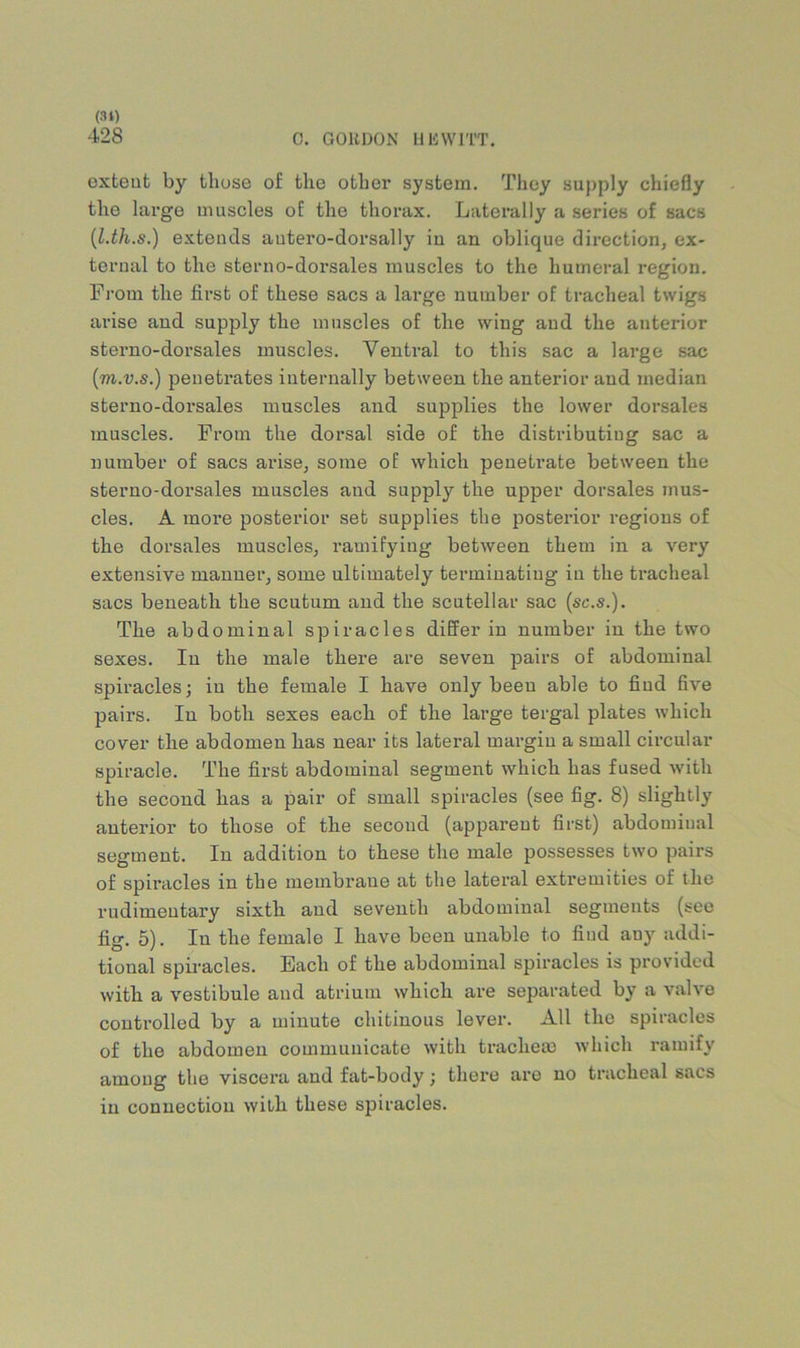 428 0. GORDON UliWlTT. extent by those of the other system. They supply chiefly the large muscles of the therax. Laterally a .series of sacs {l.th.s.) extends autero-dorsally iu an oblique direction, ex- ternal to the steruo-dorsales muscles to the humeral region. Fi’om the first of these sacs a large number of tracheal twigs arise and supply the muscles of the wing and the anterior sterno-dorsales muscles. Ventral to this sac a large sac {m.v.s.) penetrates internally between the anterior and median sterno-dorsales muscles and supplies the lower dorsales muscles. From the dorsal side of the distributing sac a number of sacs arise, some of which penetrate between the sterno-dorsales muscles and supply the upper dorsales mus- cles. A moi’e posterior set supplies the posterior regions of the dorsales muscles, ramifying between them in a very extensive manner, some ultimately terminating in the tracheal sacs beneath the scutum and the scutellar sac (s<;.s.). The abdominal spiracles differ in number iu the two sexes. In the male there are seven pairs of abdominal spiracles; iu the female I have only been able to find five pairs. In both sexes each of the large tergal plates which cover the abdomen has near its lateral margin a small circular spiracle. The first abdominal segment which has fused with the second has a pair of small spiracles (see fig. 8) slightly anterior to those of the second (apparent first) abdominal segment. In addition to these the male possesses two pairs of spiracles in the membrane at the lateral extremities of the rudimentary sixth and seventh abdominal segments (see fig. 5). In the female I have been unable to find any addi- tional spiracles. Each of the abdominal spiracles is provided with a vestibule and atrium which are separated by a valve controlled by a minute chitinous lever. All the spiracles of the abdomen communicate with trachea) which ramify among the viscera and fat-body; there are no tracheal sacs iu connection with these spiracles.