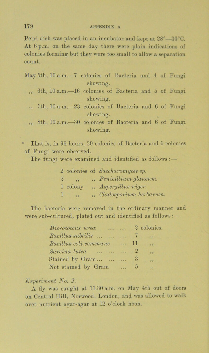 Petri dish was placed in an incubator and kept at 28®—30®C. At G p.m. on the same day there were plain indications of colonies forming hut they were too small to allow a separation count. May 5th, 10 a.m.—7 colonies of Bacteria and 4 of Fungi showing. ,, 6th, 10 a.m.—16 colonies of Bacteria and 5 of Fungi showing. ,, 7th, 10 a.m.—23 colonies of Bacteria and 6 of Fungi showing. ,, 8th, 10 a.m.—30 colonies of Bacteria and 6 of Fungi showing. • That is, in 96 hours, 30 colonies of Bacteria and 6 colonies of Fungi were observed. The fungi were examined and identified as follows: — 2 colonies of Saccharomyces 2 ,, ,, Penicillium glattcum. 1 colony ,, Aspergillus niger. 1 ,, ,, dadosporium herharum. The bacteria were removed in the ordinary manner and were sub-cultured, plated out and identified as follows: — Micrococcus urece Bacillus suhtilis ... Bacillus coli commune Sarcina lutea Stained by Gram... . Xot stained by Gram 2 colonies. 11 2 3 5 j y i f j y y y y y Experiment No. 2. A fly was caught at 11.30 a.m. on May 4th out of doors on Central Hill, Norwood, London, and was allowed to walk over nutrient agar-agar at 12 o’clock noon.