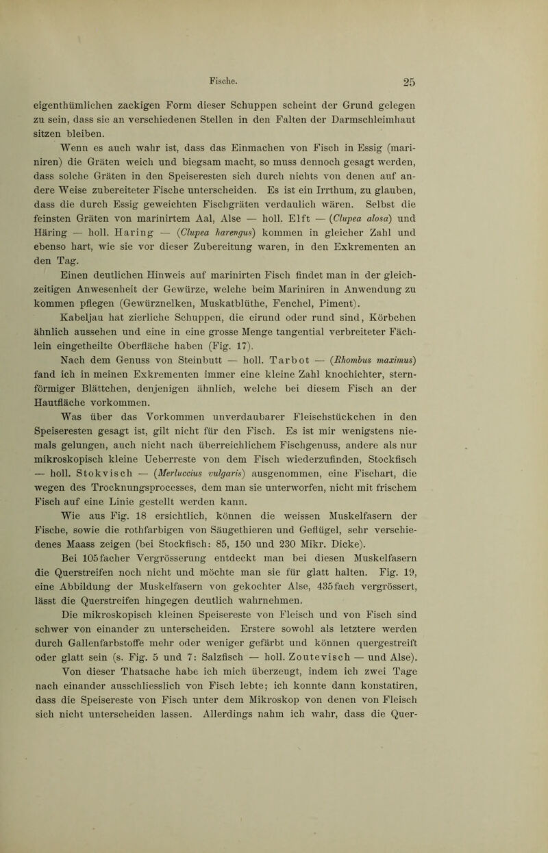 eigenthümlichen zackigen Form dieser Schuppen scheint der Grund gelegen zu sein, dass sie an verschiedenen Stellen in den Falten der Darmschleimhaut sitzen bleiben. Wenn es auch wahr ist, dass das Einmachen von Fisch in Essig (mari- niren) die Gräten weich und biegsam macht, so muss dennoch gesagt werden, dass solche Gräten in den Speiseresten sich durch nichts von denen auf an- dere Weise zubereiteter Fische unterscheiden. Es ist ein Irrthum, zu glauben, dass die durch Essig geweichten Fischgräten verdaulich wären. Selbst die feinsten Gräten von marinirtem Aal, Alse — holl. El ft — (Clupea alosa) und Häring — holl. Häring — (Clupea harevgus) kommen in gleicher Zahl und ebenso hart, wie sie vor dieser Zubereitung waren, in den Exkrementen an den Tag. Einen deutlichen Hinweis auf marinirten Fisch findet man in der gleich- zeitigen Anwesenheit der Gewürze, welche beim Mariniren in Anwendung zu kommen pflegen (Gewürznelken, Muskatblüthe, Fenchel, Piment). Kabeljau hat zierliche Schuppen, die eirund oder rund sind, Körbchen ähnlich aussehen und eine in eine grosse Menge tangential verbreiteter Fäch- lein eingetheilte Oberfläche haben (Fig. 17). Nach dem Genuss von Steinbutt — holl. Tarbot — (Rhombus maximus) fand ich in meinen Exki’ementen immer eine kleine Zahl knocliichter, stern- förmiger Blättchen, denjenigen ähnlich, welche bei diesem Fisch an der Hautfläche Vorkommen. Was über das Vorkommen unverdaubarer Fleischstückchen in den Speiseresten gesagt ist, gilt nicht für den Fisch. Es ist mir wenigstens nie- mals gelungen, auch nicht nach überreichlichem Fischgenuss, andere als nur mikroskopisch kleine Ueberreste von dem Fisch wiederzufinden, Stockfisch — holl. Stokvisch — (Merluccius vulgaris) ausgenommen, eine Fischart, die wegen des Trocknungsprocesses, dem man sie unterworfen, nicht mit frischem Fisch auf eine Linie gestellt werden kann. Wie aus Fig. 18 ersichtlich, können die weissen Muskelfasern der Fische, sowie die rothfarbigen von Säugethieren und Geflügel, sehr verschie- denes Maass zeigen (bei Stockfisch: 85, 150 und 230 Mikr. Dicke). Bei 105facher Vergrösserung entdeckt man bei diesen Muskelfasern die Querstreifen noch nicht und möchte man sie für glatt halten. Fig. 19, eine Abbildung der Muskelfasern von gekochter Alse, 435 fach vergrössert, lässt die Querstreifen hingegen deutlich wahrnehmen. Die mikroskopisch kleinen Speisereste von Fleisch und von Fisch sind schwer von einander zu unterscheiden. Erstere sowohl als letztere werden durch Gallenfarbstoffe mehr oder weniger gefärbt und können quergestreift oder glatt sein (s. Fig. 5 und 7: Salzfisch — holl. Zoutevisch — und Alse). Von dieser Tliatsache habe ich mich überzeugt, indem ich zwei Tage nach einander ausschliesslich von Fisch lebte; ich konnte dann konstatiren, dass die Speisereste von Fisch unter dem Mikroskop von denen von Fleisch sich nicht unterscheiden lassen. Allerdings nahm ich wahr, dass die Quer-