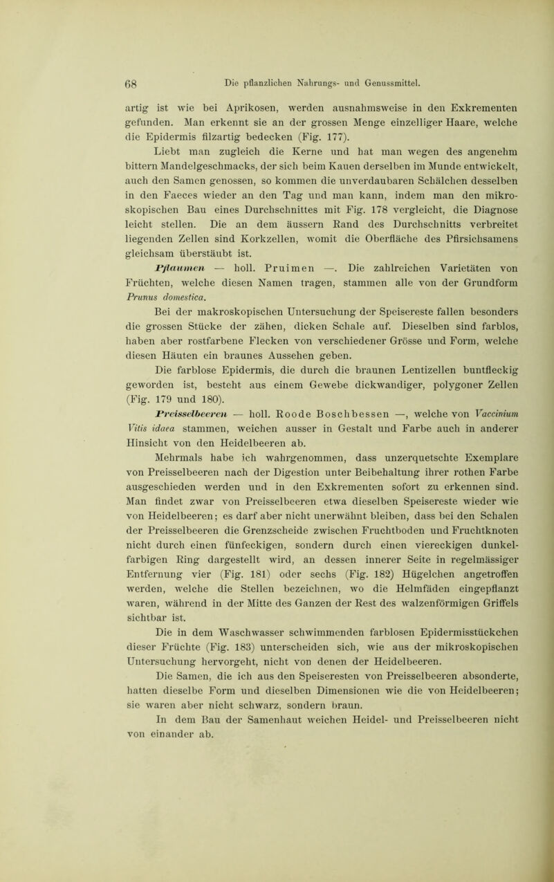 artig ist wie bei Aprikosen, werden ausnahmsweise in den Exkrementen gefunden. Man erkennt sie an der grossen Menge einzeiliger Haare, welche die Epidermis filzartig bedecken (Fig. 177). Liebt man zugleich die Kerne und hat man wegen des angenehm bittern Mandelgeschmacks, der sich beim Kauen derselben im Munde entwickelt, auch den Samen genossen, so kommen die unverdaubaren Schälchen desselben in den Faeces wieder an den Tag und man kann, indem man den mikro- skopischen Bau eines Durchschnittes mit Fig. 178 vergleicht, die Diagnose leicht stellen. Die an dem äussern Band des Durchschnitts verbreitet liegenden Zellen sind Korkzellen, womit die Oberfläche des Pfirsichsamens gleichsam überstäubt ist. Pflaumen — holl. Pruimen —. Die zahlreichen Varietäten von Früchten, welche diesen Namen tragen, stammen alle von der Grundform Prunus domestica. Bei der makroskopischen Untersuchung der Speisereste fallen besonders die grossen Stücke der zähen, dicken Schale auf. Dieselben sind farblos, haben aber rostfarbene Flecken von verschiedener Grösse und Form, welche diesen Häuten ein braunes Aussehen geben. Die farblose Epidermis, die durch die braunen Lentizellen buntfleckig geworden ist, besteht aus einem Gewebe dickwandiger, polygoner Zellen (Fig. 179 und 180). Preisselbeeren — holl. Eoode Boschbessen —, welche von Vaccinium Vitis idaea stammen, weichen ausser in Gestalt und Farbe auch in anderer Hinsicht von den Heidelbeeren ab. Mehrmals habe ich wahrgenommen, dass unzerquetschte Exemplare von Preisselbeeren nach der Digestion unter Beibehaltung ihrer rothen Farbe ausgeschieden werden und in den Exkrementen sofort zu erkennen sind. Man findet zwar von Preisselbeeren etwa dieselben Speisereste wieder wie von Heidelbeeren; es darf aber nicht unerwähnt bleiben, dass bei den Schalen der Preisselbeeren die Grenzscheide zwischen Fruchtboden und Fruchtknoten nicht durch einen fünfeckigen, sondern durch einen viereckigen dunkel- farbigen Ring dargestellt wird, an dessen innerer Seite in regelmässiger Entfernung vier (Fig. 181) oder sechs (Fig. 182) Hügelchen angetroffen werden, welche die Stellen bezeichnen, wo die Helmfäden eingepflanzt waren, während in der Mitte des Ganzen der Rest des walzenförmigen Griffels sichtbar ist. Die in dem Waschwasser schwimmenden farblosen Epidermisstückchen dieser Früchte (Fig. 183) unterscheiden sich, wie aus der mikroskopischen Untersuchung hervorgeht, nicht von denen der Heidelbeeren. Die Samen, die ich aus den Speiseresten von Preisselbeeren absonderte, hatten dieselbe Form und dieselben Dimensionen wie die von Heidelbeeren; sie waren aber nicht schwarz, sondern braun. In dem Bau der Samenhaut weichen Heidel- und Preisselbeeren nicht von einander ab.
