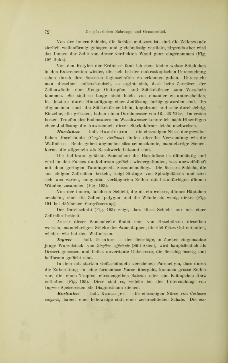 Von der innern Schicht, die farblos und zart ist, sind die Zellenwände zierlich wellenförmig’ gebogen und gleichmässig verdickt, nirgends aber wird das Lumen der Zelle von dieser verdickten Wand ganz eingenommen (Fig. 192 links). Von den Kotylen der Erdnüsse fand ich stets kleine weisse Stückchen in den Exkrementen wieder, die sich bei der makroskopischen Untersuchung schon durch ihre äusseren Eigenschaften zu erkennen gaben. Untersucht man dieselben mikroskopisch, so ergibt sich, dass beim Zerstören der Zellenwände eine Menge Oeltropfen und Stärkekörner zum Vorschein kommen. Sie sind so lange nicht leicht von einander zu unterscheiden, bis letztere durch Hinzufügung einer Jodlösung farbig geworden sind. Im allgemeinen sind die Stärkekörner klein, kugelrund und sehr durchsichtig. Einzelne, die grössten, haben einen Durchmesser von 16 — 23 Mikr. Im ersten besten Tropfen des Bodensatzes im Waschwasser konnte ich nach Hinzufügen einer Jodlösung die Anwesenheit dieser Stärkekörner leicht nachweisen. Haselnüsse — holl. Hazclnoten — die einsamigen Nüsse der gewöhn- lichen Haselstaude (Corylus Avellana) finden dieselbe Verwendung wie die Wallnüsse. Beide geben angenehm süss schmeckende, mandelartige Samen- kerne, die allgemein als Naschwerk bekannt sind. Die hellbraun gefärbte Samenhaut der Haselnüsse ist dünnhäutig und wird in den Faeces dunkelbraun gefärbt wiedergefunden, was unzweifelhaft mit dem geringen Tanningehalt zusammenhängt. Die äussere Schicht, die aus einigen Zellreihen besteht, zeigt Stränge von Spiralgefässen und setzt sich aus zarten, tangential verlängerten Zellen mit braunfarbigen dünnen Wänden zusammen (Fig. 193). Von der innern, farblosen Schicht, die als ein weisses, dünnes Häutchen erscheint, sind die Zellen polygon und die Wände ein wenig dicker (Fig. 194 bei 435facher Vergrösserung). Der Durchschnitt (F’ig. 193) zeigt, dass diese Schicht nur aus einer Zellreihe besteht. Ausser dieser Samendecke findet man von Haselnüssen dieselben weissen, mandelartigen Stücke der Samenlappen, die viel fettes Oel enthalten, wieder, wie bei den Wallnüssen. Ingiver — holl. Gember — der fleischige, in Zucker eingemachte junge Wurzelstock von Zingiber officinale (Süd-Asien), wird hauptsächlich als Dessert genossen und liefert unverdaute Ueberrcste, die fleischig-faserig und hellbraun gefärbt sind. In dem mit starken Gefässbündeln versehenen Parenchym, dass durch die Zubereitung in eine formenlose Masse übergeht, kommen grosse Zellen vor, die einen Tropfen citronengelben Balsam oder ein Klümpchen Harz enthalten (Fig. 195). Diese sind es, welche bei der Untersuchung von Ingwer-Speiseresten als Diagnosticum dienen. Kastanien — holl. Kastanjes — die einsamigen Nüsse von Castanea vulgaris, haben eine lederartige statt einer zerbrechlichen Schale. Die ess-