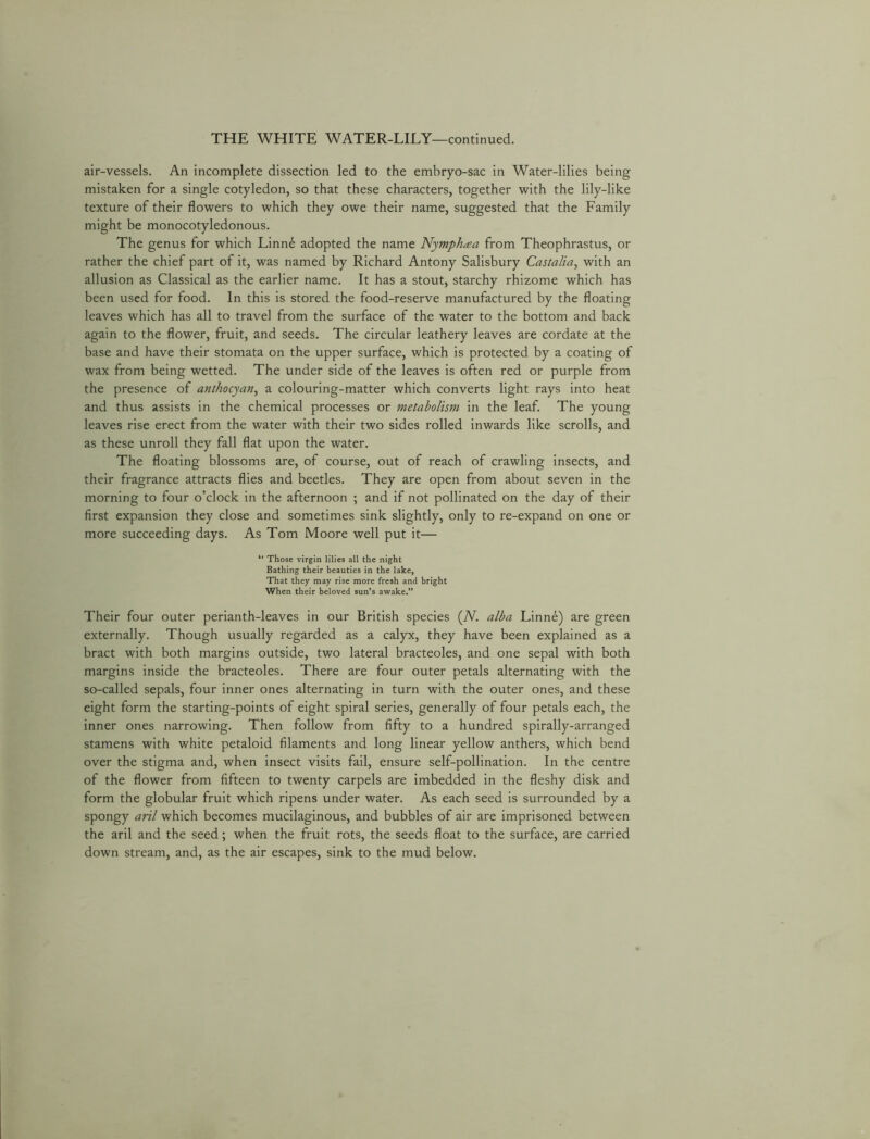 air-vessels. An incomplete dissection led to the embryo-sac in Water-lilies being mistaken for a single cotyledon, so that these characters, together with the lily-like texture of their flowers to which they owe their name, suggested that the Family might be monocotyledonous. The genus for which Linnd adopted the name Nymphaa from Theophrastus, or rather the chief part of it, was named by Richard Antony Salisbury Castalia^ with an allusion as Classical as the earlier name. It has a stout, starchy rhizome which has been used for food. In this is stored the food-reserve manufactured by the floating leaves which has all to travel from the surface of the water to the bottom and back again to the flower, fruit, and seeds. The circular leathery leaves are cordate at the base and have their stomata on the upper surface, which is protected by a coating of wax from being wetted. The under side of the leaves is often red or purple from the presence of anthocyan, a colouring-matter which converts light rays into heat and thus assists in the chemical processes or metabolism in the leaf. The young leaves rise erect from the water with their two sides rolled inwards like scrolls, and as these unroll they fall flat upon the water. The floating blossoms are, of course, out of reach of crawling insects, and their fragrance attracts flies and beetles. They are open from about seven in the morning to four o’clock in the afternoon ; and if not pollinated on the day of their first expansion they close and sometimes sink slightly, only to re-expand on one or more succeeding days. As Tom Moore well put it— “ Those virgin lilies all the night Bathing their beauties in the lake, That they may rise more fresh and bright When their beloved sun’s awake.” Their four outer perianth-leaves in our British species {N. alba Linne) are green externally. Though usually regarded as a calyx, they have been explained as a bract with both margins outside, two lateral bracteoles, and one sepal with both margins inside the bracteoles. There are four outer petals alternating with the so-called sepals, four inner ones alternating in turn with the outer ones, and these eight form the starting-points of eight spiral series, generally of four petals each, the inner ones narrowing. Then follow from fifty to a hundred spirally-arranged stamens with white petaloid filaments and long linear yellow anthers, which bend over the stigma and, when insect visits fail, ensure self-pollination. In the centre of the flower from fifteen to twenty carpels are imbedded in the fleshy disk and form the globular fruit which ripens under water. As each seed is surrounded by a spongy aril which becomes mucilaginous, and bubbles of air are imprisoned between the aril and the seed; when the fruit rots, the seeds float to the surface, are carried down stream, and, as the air escapes, sink to the mud below.