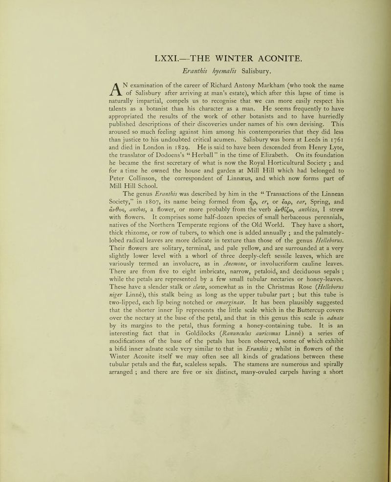 LXXL—THE WINTER ACONITE. Eranthis hyemalis Salisbury. An examination of the career of Richard Antony Markham (who took the name of Salisbury after arriving at man’s estate), which after this lapse of time is naturally impartial, compels us to recognise that we can more easily respect his talents as a botanist than his character as a man. He seems frequently to have appropriated the results of the work of other botanists and to have hurriedly published descriptions of their discoveries under names of his own devising. This aroused so much feeling against him among his contemporaries that they did less than justice to his undoubted critical acumen. Salisbury was born at Leeds in 1761 and died in London in 1829. He is said to have been descended from Henry Lyte, the translator of Dodoens’s “Herball” in the time of Elizabeth. On its foundation he became the first secretary of what is now the Royal Horticultural Society ; and for a time he owned the house and garden at Mill Hill which had belonged to Peter Collinson, the correspondent of Linnaeus, and which now forms part of Mill Hill School. The genus Eranthis was described by him in the “ Transactions of the Linnean Society,” in 1807, its name being formed from er^ or eap, ear^ Spring, and av6o<i, anthos^ a flower, or more probably from the verb dvOCi^o), anthizo, 1 strew with flowers. It comprises some half-dozen species of small herbaceous perennials, natives of the Northern Temperate regions of the Old World. They have a short, thick rhizome, or row of tubers, to which one is added annually ; and the palmately- lobed radical leaves are more delicate in texture than those of the genus Helleborus. Their flowers are solitary, terminal, and pale yellow, and are surrounded at a very slightly lower level with a whorl of three deeply-cleft sessile leaves, which are variously termed an involucre, as in Anemone^ or involucriform cauline leaves. There are from five to eight imbricate, narrow, petaloid, and deciduous sepals ; while the petals are represented by a few small tubular nectaries or honey-leaves. These have a slender stalk or claw^ somewhat as in the Christmas Rose {Helleborus niger Linne), this stalk being as long as the upper tubular part ; but this tube is two-lipped, each lip being notched or emarginate. It has been plausibly suggested that the shorter inner lip represents the little scale which in the Buttercup covers over the nectary at the base of the petal, and that in this genus this scale is adnate by its margins to the petal, thus forming a honey-containing tube. It is an interesting fact that in Goldilocks {Ranunculus auricomus Linne) a series of modifications of the base of the petals has been observed, some of which exhibit a bifid inner adnate scale very similar to that in Eranthis ; whilst in flowers of the Winter Aconite itself we may often see all kinds of gradations between these tubular petals and the flat, scaleless sepals. The stamens are numerous and spirally arranged ; and there are five or six distinct, many-ovuled carpels having a short