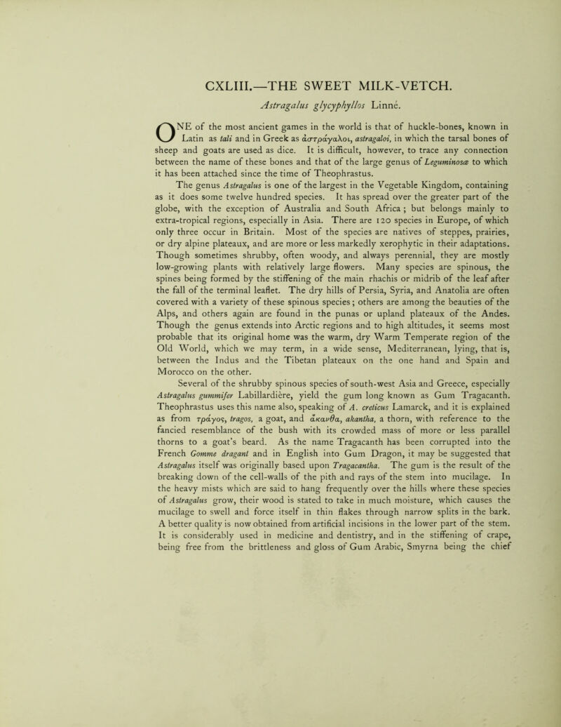 CXLIII.—THE SWEET MILK-VETCH. Astragalus glycyphyllos Linne. ONE of the most ancient games in the world is that of huckle-bones, known in Latin as tali and in Greek as acrTpdyaXoL, astragaloi, in which the tarsal bones of sheep and goats are used as dice. It is difficult, however, to trace any connection between the name of these bones and that of the large genus of Leguminosa to which it has been attached since the time of Theophrastus. The genus Astragalus is one of the largest in the Vegetable Kingdom, containing as it does some twelve hundred species. It has spread over the greater part of the globe, with the exception of Australia and South Africa ; but belongs mainly to extra-tropical regions, especially in Asia. There are 120 species in Europe, of which only three occur in Britain. Most of the species are natives of steppes, prairies, or dry alpine plateaux, and are more or less markedly xerophytic in their adaptations. Though sometimes shrubby, often woody, and always perennial, they are mostly low-growing plants with relatively large flowers. Many species are spinous, the spines being formed by the stiffening of the main rhachis or midrib of the leaf after the fall of the terminal leaflet. The dry hills of Persia, Syria, and Anatolia are often covered with a variety of these spinous species ; others are among the beauties of the Alps, and others again are found in the punas or upland plateaux of the Andes. Though the genus extends into Arctic regions and to high altitudes, it seems most probable that its original home was the warm, dry Warm Temperate region of the Old World, which we may term, in a wide sense, Mediterranean, lying, that is, between the Indus and the Tibetan plateaux on the one hand and Spain and Morocco on the other. Several of the shrubby spinous species of south-west Asia and Greece, especially Astragalus gummifer Labillardiere, yield the gum long known as Gum Tragacanth. Theophrastus uses this name also, speaking of A. creticus Lamarck, and it is explained as from Tpdyo<;, tragos, a goat, and aKavda, akantha, a thorn, with reference to the fancied resemblance of the bush with its crowded mass of more or less parallel thorns to a goat’s beard. As the name Tragacanth has been corrupted into the French Gomme dragant and in English into Gum Dragon, it may be suggested that Astragalus itself was originally based upon Tragacantha. The gum is the result of the breaking down of the cell-walls of the pith and rays of the stem into mucilage. In the heavy mists which are said to hang frequently over the hills where these species of Astragalus grow, their wood is stated to take in much moisture, which causes the mucilage to swell and force itself in thin flakes through narrow splits in the bark. A better quality is now obtained from artificial incisions in the lower part of the stem. It is considerably used in medicine and dentistry, and in the stiffening of crape, being free from the brittleness and gloss of Gum Arabic, Smyrna being the chief