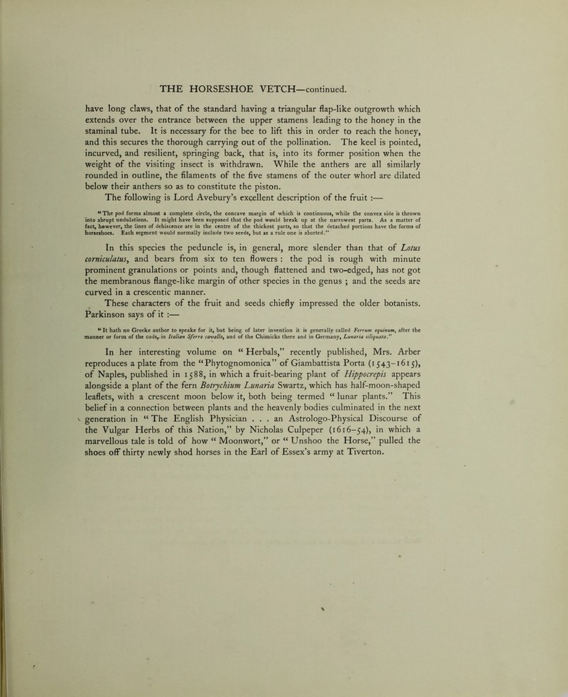 have long claws, that of the standard having a triangular flap-like outgrowth which extends over the entrance between the upper stamens leading to the honey in the staminal tube. It is necessary for the bee to lift this in order to reach the honey, and this secures the thorough carrying out of the pollination. The keel is pointed, incurved, and resilient, springing back, that is, into its former position when the weight of the visiting insect is withdrawn. While the anthers are all similarly rounded in outline, the filaments of the five stamens of the outer whorl are dilated below their anthers so as to constitute the piston. The following is Lord Avebury’s excellent description of the fruit :— “The pod forms almost a complete circle, the concave margin of which is continuous, while the convex side is thrown into abrupt undulations. It might have been supposed that the pod would break up at the narrowest parts. As a matter of fact, however, the lines of dehiscence are in the centre of the thickest parts, so that the detached portions have the forms of horseshoes. Each segment would normally include two seeds, but as a rule one is aborted.” In this species the peduncle is, in general, more slender than that of Lotus corniculatus^ and bears from six to ten flowers : the pod is rough with minute prominent granulations or points and, though flattened and two-edged, has not got the membranous flange-like margin of other species in the genus ; and the seeds are curved in a crescentic manner. These characters of the fruit and seeds chiefly impressed the older botanists. Parkinson says of it :— “ It hath no Greeke author to speake for it, but being of later invention it is generally called Ferrum equinum, after the manner or form of the cods,.in Italian Sferro cavaltoy and of the Chimicks there and in Germany, Lunaria siliquata. In her interesting volume on “ Herbals,” recently published, Mrs. Arber reproduces a plate from the “Phytognomonica” of Giambattista Porta (1543-1615), of Naples, published in 1588, in which a fruit-bearing plant of Hippocrepis appears alongside a plant of the fern Botrychium Lunaria Swartz, which has half-moon-shaped leaflets, with a crescent moon below it, both being termed “ lunar plants.” This belief in a connection between plants and the heavenly bodies culminated in the next ^ generation in “ The English Physician ... an Astrologo-Physical Discourse of the Vulgar Herbs of this Nation,” by Nicholas Culpeper (1616-54), in which a marvellous tale is told of how “ Moonwort,” or “ Unshoo the Horse,” pulled the shoes off thirty newly shod horses in the Earl of Essex’s army at Tiverton.