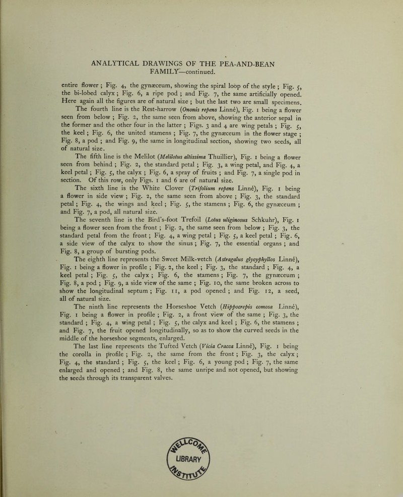 ANALYTICAL DRAWINGS OF THE PEA-AND-BEAN FAMILY—continued. entire flower ; Fig. 4, the gynaeceum, showing the spiral loop of the style ; Fig. 5, the bi-lobed calyx ; Fig. 6, a ripe pod ; and Fig. 7, the same artificially opened. Here again all the figures are of natural size ; but the last two are small specimens. The fourth line is the Rest-harrow {Ononis repms Linn6), Fig. i being a flower seen from below ; Fig. 2, the same seen from above, showing the anterior sepal in the former and the other four in the latter ; Figs. 3 and 4 are wing petals ; Fig. 5, the keel ; Fig. 6, the united stamens ; Fig. 7, the gynaeceum in the flower stage ; Fig. 8, a pod ; and Fig. 9, the same in longitudinal section, showing two seeds, all of natural size. The fifth line is the Melilot (Melilotus altissima Thuillier), Fig. i being a flower seen from behind ; Fig. 2, the standard petal ; Fig, 3, a wing petal, and Fig. 4, a keel petal ; Fig. 5, the calyx ; Fig. 6, a spray of fruits ; and Fig. 7, a single pod in section. Of this row, only Figs, i and 6 are of natural size. The sixth line is the White Clover {Trifolium refens Linn6), Fig. i being a flower in side view ; Fig. 2, the same seen from above ; Fig. 3, the standard petal ; Fig. 4, the wings and keel ; Fig. 5, the stamens ; Fig. 6, the gynaeceum ; and Fig. 7, a pod, all natural size. The seventh line is the Bird’s-foot Trefoil {Lotus uliginosus Schkuhr), Fig. i being a flower seen from the front ; Fig. 2, the same seen from below ; Fig. 3, the standard petal from the front; Fig. 4, a wing petal ; Fig. 5, a keel petal ; Fig. 6, a side view of the calyx to show the sinus ; Fig. 7, the essential organs ; and Fig. 8, a group of bursting pods. The eighth line represents the Sweet Milk-vetch {Astragalus glycyphyllos Linnd), Fig. I being a flower in profile ; Fig. 2, the keel ; Fig. 3, the standard ; Fig. 4, a keel petal ; Fig. 5, the calyx ; Fig. 6, the stamens ; Fig. 7, the gynaeceum ; Fig. 8, a pod ; Fig. 9, a side view of the same ; Fig. 10, the same broken across to show the longitudinal septum; Fig. ii, a pod opened; and Fig. 12, a seed, all of natural size. The ninth line represents the Horseshoe Vetch {Hippocrepis comosa Linne), Fig, I being a flower in profile ; Fig. 2, a front view of the same ; Fig. 3, the standard ; Fig. 4, a wing petal ; Fig. 5, the calyx and keel ; Fig. 6, the stamens ; and Fig. 7, the fruit opened longitudinally, so as to show the curved seeds in the middle of the horseshoe segments, enlarged. The last line represents the Tufted Vetch {Vida Cracca Linnd), Fig. i being the corolla in profile ; Fig. 2, the same from the front ; Fig. 3, the calyx; Fig. 4, the standard ; Fig. 5, the keel ; Fig. 6, a young pod ; Fig. 7, the same enlarged and opened ; and Fig, 8, the same unripe and not opened, but showing the seeds through its transparent valves.