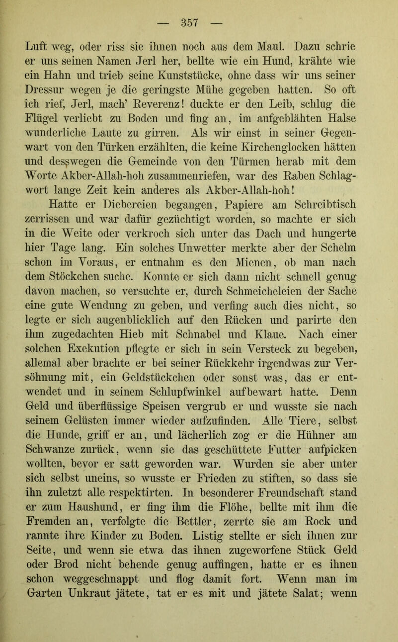 Luft weg*, oder riss sie ihnen noch aus dem Maul. Dazu schrie er uns seinen Namen Jerl her, bellte wie ein Hund, krähte wie ein Hahn und trieb seine Kunststücke, ohne dass wir uns seiner Dressur wegen je die geringste Mühe gegeben hatten. So oft ich rief, Jerl, mach’ Reverenz! duckte er den Leib, schlug die Flügel verliebt zu Boden und fing an, im aufgeblähten Halse wunderliche Laute zu girren. Als wir einst in seiner Gegen- wart von den Türken erzählten, die keine Kirchenglocken hätten und deswegen die Gemeinde von den Türmen herab mit dem Worte Akber-Allah-hoh zusammenriefen, war des Raben Schlag- wort lange Zeit kein anderes als Akber-Allah-hoh! Hatte er Diebereien begangen, Papiere am Schreibtisch zerrissen und war dafür gezüchtigt worden, so machte er sich in die Weite oder verkroch sich unter das Dach und hungerte hier Tage lang. Ein solches Unwetter merkte aber der Schelm schon im Voraus, er entnahm es den Mienen, ob man nach dem Stöckchen suche. Konnte er sich dann nicht schnell genug davon machen, so versuchte er, durch Schmeicheleien der Sache eine gute Wendung zu geben, und verfing auch dies nicht, so legte er sich augenblicklich auf den Rücken und parirte den ihm zugedachten Hieb mit Schnabel und Klaue. Nach einer solchen Exekution pflegte er sich in sein Versteck zu begeben, allemal aber brachte er bei seiner Rückkehr irgendwas zur Ver- söhnung mit, ein Geldstückchen oder sonst was, das er ent- wendet und in seinem Schlupfwinkel aufbewart hatte. Denn Geld und überflüssige Speisen vergrub er und wusste sie nach seinem Gelüsten immer wieder aufzufinden. Alle Tiere, selbst die Hunde, griff er an, und lächerlich zog er die Hühner am Schwänze zurück, wenn sie das geschüttete Futter aufpicken wollten, bevor er satt geworden war. Wurden sie aber unter sich selbst uneins, so wusste er Frieden zu stiften, so dass sie ihn zuletzt alle respektirten. In besonderer Freundschaft stand er zum Haushund, er fing ihm die Flöhe, bellte mit ihm die Fremden an, verfolgte die Bettler, zerrte sie am Rock und rannte ihre Kinder zu Boden. Listig stellte er sich ihnen zur Seite, und wenn sie etwa das ihnen zugeworfene Stück Geld oder Brod nicht behende genug auffingen, hatte er es ihnen schon weggeschnappt und flog damit fort. Wenn man im Garten Unkraut jätete, tat er es mit und jätete Salat; wenn