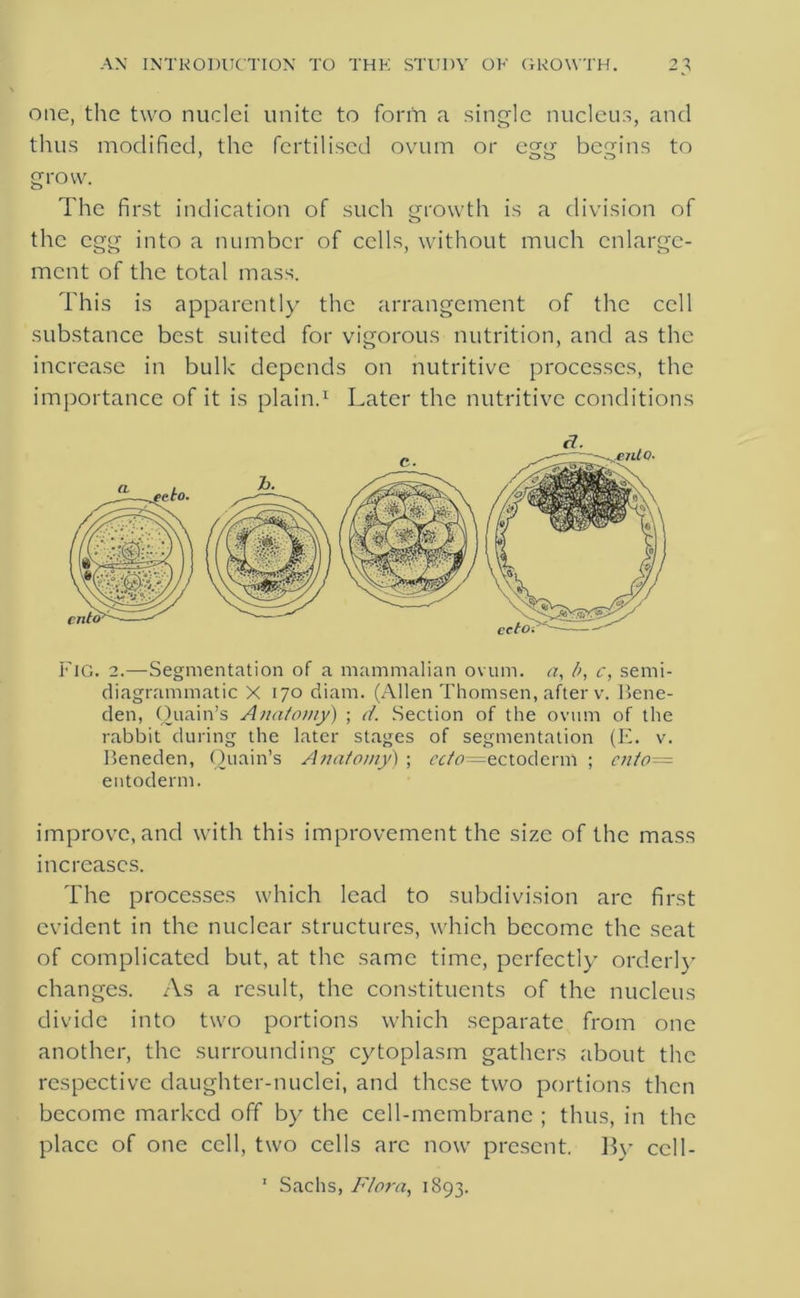 one, the two nuclei unite to form a single nucleus, and thus modified, the fertilised ovum or egg begins to grow. The first indication of such growth is a division of the egg into a number of cells, without much enlarge- ment of the total mass. This is apparently the arrangement of the cell substance best suited for vigorous nutrition, and as the increase in bulk depends on nutritive processes, the importance of it is plain.1 Later the nutritive conditions FlG. 2.—Segmentation of a mammalian ovum, a, !>, c, semi- diagrammatic X 170 diam. (Allen Thomsen, after v. Bene- den, Ouain’s Anatomy) ; d. Section of the ovum of the rabbit during the later stages of segmentation (E. v. Beneden, Ouain’s Anatomy) ; ectoderm ; cn/o= entoderm. improve, and with this improvement the size of the mass increases. The processes which lead to subdivision arc first evident in the nuclear structures, which become the seat of complicated but, at the same time, perfectly orderly changes. As a result, the constituents of the nucleus divide into two portions which separate from one another, the surrounding cytoplasm gathers about the respective daughter-nuclei, and these two portions then become marked off by the cell-membrane ; thus, in the place of one cell, two cells arc now present. By cel 1 - 1 Sachs, Flora, 1893.