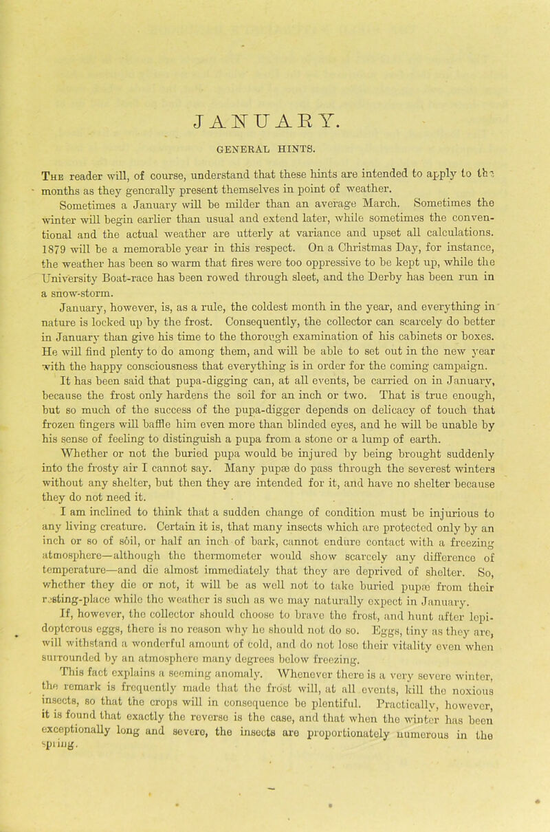 JANUARY. GENERAL HINTS. The reader will, of course, understand that these hints are intended to apply to tbi months as they generally present themselves in point of weather. Sometimes a January will he milder than an averag'e March. Sometimes the winter will begin earlier than usual and extend later, while sometimes the conven- tional and the actual weather are utterly at variance and upset all calculations. 1879 will be a memorable year in this respect. On a Christmas Day, for instance, the weather has been so warm that fires were too oppressive to be kept up, while the University Boat-race has been rowed through sleet, and the Derby has been rim in a snow-storm. January, however, is, as a rule, the coldest month in the year, and everything in nature is locked up by the frost. Consequently, the collector can scarcely do better in January than give his time to the thorough examination of his cabinets or boxes. He will find plenty to do among them, and will be able to set out in the new year with the happy consciousness that everything is in order for the coming campaign. It has been said that pupa-digging can, at all events, be carried on in January, because the frost only hardens the soil for an inch or two. That is true enough, but so much of the success of the pupa-digger depends on delicacy of touch that frozen fingers will baffle him even more than blinded eyes, and he will be unable by his sense of feeling to distinguish a pupa from a stone or a lump of earth. Whether or not the buried pupa would be injured by being brought suddenly into the frosty air I cannot say. Many pupae do pass through the severest winters without any shelter, but then they are intended for it, and have no shelter because they do not need it. I am inclined to think that a sudden change of condition must be injurious to any living creature. Certain it is, that many insects which are protected only by an inch or so of soil, or half an inch of bark, cannot endure contact with a freezing atmosphere—although the thermometer would show scarcely any difference of temperature—and die almost immediately that they are deprived of shelter. So, whether they die or not, it will be as well not to take buried pupa; from their resting-place while the weather is such as we may naturally expect in January. If, however, the collector should choose to brave the frost, and hunt after lopi- doptcrous eggs, thero is no reason why he should not do so. Eggs, tiny as they are, will withstand a wonderful amount of cold, and do not lose their vitality even when surrounded by an atmosphere many degrees below freezing. This fact explains a seeming anomaly. Whenever there is a very severe winter, the remark is frequently made that the frost will, at all events, kill tho noxious insects, so that the crops will in consequenco be plentiful. Practically, however, it is found that exactly the revorso is the case, and that when the winter has been exceptionally long and severo, the insects are proportionately numerous in the spring.