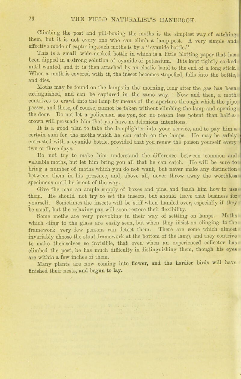 Climbing the post and pill-boxing the moths is the simplest way of catching them, but it is not every one who can climb a lamp-post. A very simple and effective mode of capturing.such moths is by a “ cyanide bottle.” This is a small wide-necked bottle in which is a little blotting paper that has been dipped in a strong solution of cyanide of potassium. It is kept tightly corked until wanted, and it is then attached by an elastic band to the eud of a long stick. When a moth is covered with it, the insect becomes stupefied, falls into the bottle, and dies. Moths may be found on the lamps in the morning, long after the gas has been extinguished, and can be captured in the same way. Now and then, a moth contrives to crawl into the lamp by means of the aperture through which the pipe passes, and those, of course, cannot be taken without climbing the lamp and opening the door. Do not let a policeman see you, for no reason less potent than half-a- crown will persuade him that you have no felonious intentions. It is a good plan to take the lamplighter into your service, and to pay him a certain sum for the moths which he can catch on the lamps. He may be safely entrusted with a cyanide bottle, provided that you renew the poison yourself every two or three days. Do not try to make him understand' the difference between common and valuable moths, but let him bring you all that he can catch. He will be sure to bring a number of moths which you do not want, but never make any distinction between them in his presence, and, above all, never throw away the worthless specimens until he is out of the way. Give the man an ample supply of boxes and pins, and teach him how to use them. He should not tiy to set the insects, but should leave that business for yourself. Sometimes the insects will be stiff when handed over, especially if they be small, but the relaxing pan will soon restore their flexibility. Some moths are very provoking in their way of settling on lamps. Moths which cling to the glass are easily seen, but when they insist on clinging to the framework very few persons can detect them. There are somo which almost invariably choose the stout framework at the bottom of the lamp, and they contrive to make themselves so invisible, that even when an experienced collector has climbed the post, ho has much difficulty in distinguishing them, though his eyes are within a few inches of them. Many plants aro now coming into flower, and the hardier birds will have finished their nests, and begun to lay.