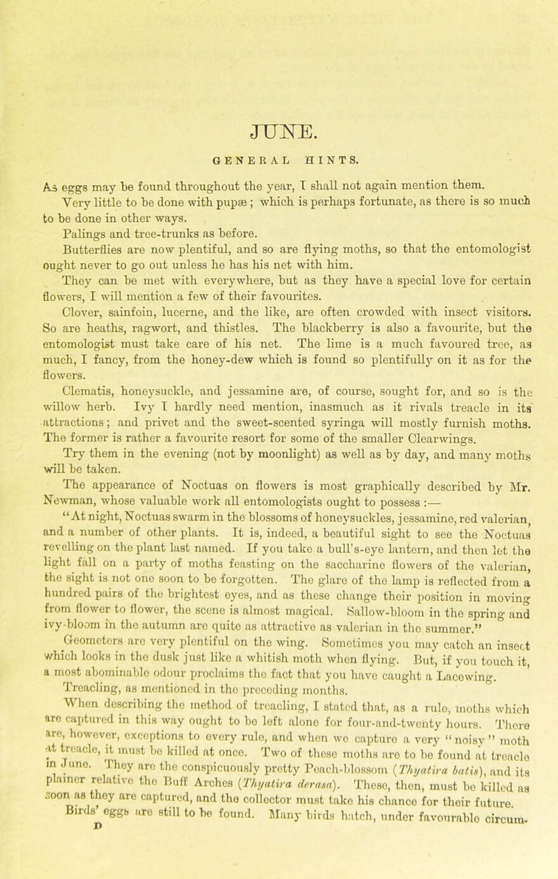 JUNE. GENERAL HINTS. As eggs may be found, throughout the year, I shall not again mention them. Very little to he done with pupm ; which is perhaps fortunate, as there is so much to he done in other ways. Palings and tree-trunks as before. Butterflies are now plentiful, and so are flying moths, so that the entomologist ought never to go out unless he has his net with him. They can be met with everywhere, hut as they have a special love for certain flowers, I will mention a few of their favourites. Clover, sainfoin, lucerne, and the like, are often crowded with insect visitors. So are heaths, ragwort, and thistles. The blackberry is also a favourite, hut the entomologist must take care of his net. The lime is a much favoured tree, as much, I fancy, from the honey-dew which is found so plentifully on it as for the flowers. Clematis, honeysuckle, and jessamine are, of course, sought for, and so is the willow herb. Ivy I hardly need mention, inasmuch as it rivals treacle in its attractions; and privet and the sweet-scented syringa will mostly furnish moths. The former is rather a favourite resort for some of the smaller Clearwings. Try them in the evening (not by moonlight) as well as by day, and many moths will be taken. The appearance of Noctuas on flowers is most graphically described by Mr. Newman, whose valuable work all entomologists ought to possess :— “At night, Noctuas swarm in the blossoms of honeysuckles, jessamine, red valerian, and a number of other plants. It is, indeed, a beautiful sight to see the Noctuas revelling on the plant last named. If you take a bull’s-eye lantern, and then let the light fall on a party of moths feasting on the saccharine flowers of the valerian, the sight is not ono soon to be forgotten. The glare of the lamp is reflected from a hundred pairs of the brightest eyes, and as these change their position in moving from flower to flower, the scene is almost magical. Sallow-bloom in the spring and ivy-bloom in tho autumn arc quite as attractive as valerian in the summer.” Geometers arc very plentiful on the wing. Sometimes you may catch an insect which looks in tho dusk just like a whitish moth when flying. But, if you touch it a most abominable odour proclaims the fact that you have caught a Lacewing. Treacling, as mentioned in tho preceding months. When describing the method of treacling, I stated that, as a rule, moths which are captured in this way ought to ho left alone for four-and-twenty hours. There are, however, exceptions to every rule, and when we capturo a very “ noisy ” moth at treacle, it must be killed at once. Two of these moths aro to be found at treaclo in June. They are the conspicuously pretty Peach-blossom (Thyatira bat is), and its p airier relative tho Buff Archos (Thyatira derasa). These, then, must he killed as soon as they are captured, and tho collector must tuko his chance for their future. Birds eggb are still to he found. Many birds hatch, under favourable circura-