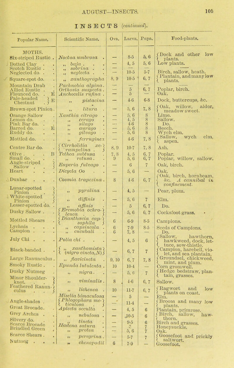 INSECTS (continued). Popular Name. Scientific Name. Ova. Larva. Pupa. MOTHS. Six-striped Rustic . Noctua umbrosa . — 8-5 5, 6 Dotted Clay „ baja . — 4,5 5, 6 Scotch Rustic . ,, sobrina . — — — Neglected do. . „ ncglecta . — 10-5 5-7 Square-spot do. „ xanthographa 8, 9 10-5 6, 7 Mountain Drab Pachnobia alpina. — — — Allied Rustic . Orthosia suspccta. — 5 6, 7 Flounced do. . E Anchocelis rufina . — 5 — Pale-headed ) ,,, Chestnut . 3 1-1 „ pistacina - 4-6 6-8 Brown-spot Pinion. „ litura . — 5, 6 7,8 Orange Sallow Xanthia citrago . — 5, 6 8 Lemon do. ,, Ceracjo — 4, 5 8 Pinl; Bar do. . ,, silago — 4-G 8 Barred do. . E ,, aurago — 5, 6 8 Ruddy do. „ gilvago — 5, 6 8 Mottled do. „ ferruginez — 1-6 7,8 Centre Bar do. ( Cirrliocdia xe- 7 X rampelina . j 8, 9 10-7 7,8 Olive B Tcthea subtusa 7, 8 4, 5 6, 7 Small do. . „ retusa. 9 5, G 6,7 Angle-striped ) Sallow . . j Euperia fulvago . — G 7 Heart Dicycla Oo — 5, 6 — Dunbar Cosmia trapezina. 8 4-6 6,7 Lunar-spotted 7 Pinion . . 3 „ pyralina . — 4, 5 — White-spotted 7 Pinion . . j „ diffinis — 5, 6 7 Lesser-spotted do. . „ affinis fErcmobia ochro-') X leuca . . ) — 5 6, 7 Dusky Sallow . — 5, 6 6,7 Mottled Shears ( Di.anthoxia cap)- 7 l sophila 3 G 6-9 8-5 Lychnis . „ capsincola . 6 7-9 8-5 Campion . „ cucubali G 7, 8 — July Chi . Polia chi . — 4, 5 6 Black-banded . ( ,, xanthomisla \ X (nigro cincta,N) 3 — 6,7 7 Large Ranunculus . ,, flavicincta 9, 10 6, 7 7, 8 Smoky Rustic . Epunda lutulenta . 10 10-4 Dusky Nutmeg Minor Shoulder- 7 „ nigra. ,, viminalis. — 5, 6 4-6 7 knot. . . j Feathered Ranun-7 8 6,7 ,, lichenea . cuius . . / 10 11-7 6, 7 Miselia bimaculosa 5 Angle-shades . f Phlogophora me- 7 l ticulosa . 3 * 11-4 — Great Brocade. Aplecta occulta 4, 5 6 Grey Arches . ,, ncbulosa . J0-5 6 Silvery do. Scarce Brocade Brindled Green ,, tincta Haacna salura „ pro tea — 9-5 ** 5^6 6 7 7 Scarce Shears . ii peregrina. 5-7 7 Nutmeg . i, chenopodii G 7-9 Food-plants. (Dock and other low l plants. Low plants. Birch, sallow, heath. < Plantain, andmanylow X plants. Poplar, birch. Oak. Dock, buttercups, &c. (Oak, willow, alder, X meadow sweet. Lime. Sallow. Do. Beech. AVych elm. C Sallow, wych elm, 1 aspen. Ash. Poplar. Poplar, willow, sallow. Oak, birch. Oak. (Oak, birch, hornbeam, ■j &c. A cannibal in ( confinement. Pear, plum. Elm. Do. Cocksfoot grass. Campions. Seeds of Campions. Do. (Sallow, hawthorn, -j hawkweed, dock, let- (. tuce, sow-thistle. ( Campion, harebell, vio- l let, and sea plantain, f Groundsel, chickweed, l mint, and plum. Corn gromwell. f Hedge bedstraw, plan- l tain, grasses. Sallow. fRagwort and low l plants on coast. Elm. f Broom and many low l plants. Plantain, primrose, f Birch, sallow, haw- 1 thorn. Birch and grasses. 1 loneysuckie. Oak. f Goosefoot and pr-ickly l saltwort. Goosefoot.