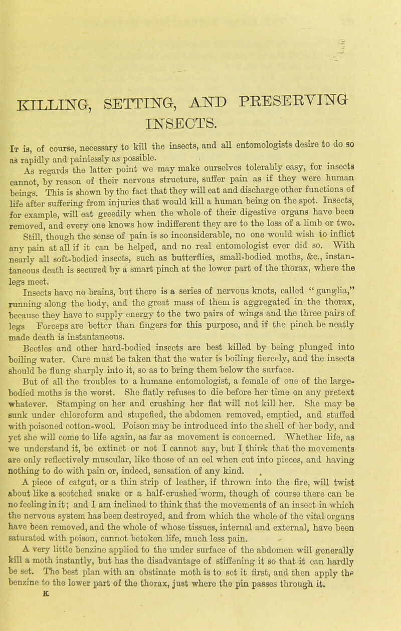 KILLING, SETTING, AND PEE SERVING INSECTS. It is, of course, necessary to kill the insects, and all entomologists desire to do so as rapidly and painlessly as possible. As regards the latter point we may make ourselves tolerably easy, for insects cannot, by reason of their nervous structure, suffer pain as if they were human beings.’ This is shown by the fact that they will eat and discharge other functions of life after suffering from injuries that would kill a human being on the spot. Insects, for example, will eat greedily when the whole of their digestive organs have been removed, and every one knows how indifferent they are to the loss of a limb or two. Still, though the sense of pain is so inconsiderable, no one would wish to inflict any pain at all if it can be helped, and no real entomologist ever did so. With nearly all soft-bodied insects, such as butterflies, small-bodied moths, &c., instan- taneous death is secured by a smart pinch at the lower part of the thorax, where the legs meet. Insects have no brains, but there is a series of nervous knots, called “ ganglia,” running along the body, and the great mass of them is aggregated in the thorax, because they have to supply energy to the two pairs of wings and the three pairs of legs. Forceps are better than fingers for this purpose, and if the pinch be neatly made death is instantaneous. Beetles and other hard-bodied insects are best killed by being plunged into boiling water. Care must be taken that the water is boiling fiercely, and the insects should be flung sharply into it, so as to bring them below the surface. But of all the troubles to a humane entomologist, a female of one of the large- bodied moths is the worst. She flatly refuses to die before her time on any pretext whatever. Stamping on her and crushing her flat will not kill her. She may be sunk under chloroform and stupefied, the abdomen removed, emptied, and stuffed with poisoned cotton-wool. Poison may be introduced into the shell of her body, and yet she will come to life again, as far as movement is concerned. Whether life, as we understand it, be extinct or not I cannot say, but I think that the movements are only reflectively muscular, like those of an eel when cut into pieces, and leaving nothing to do with pain or, indeed, sensation of any kind. A piece of catgut, or a thin strip of leather, if thrown into the fire, will twist about like a scotched snake or a half-crushed worm, though of course there can be no feeling in it; and I am inclined to think that the movements of an insect in which the nervous system has been destroyed, and from which the whole of tho vital organs have been removed, and the whole of whose tissues, internal and external, have been saturated with poison, cannot betoken life, much less pain. A very little benzine applied to the under surface of the abdomen will generally kill a moth instantly, but has the disadvantage of stiffening it so that it can hardly be set. The best plan with an obstinate moth is to sot it first, and then apply the benzine to the lower part of the thorax, just where the pin passes through it. tt