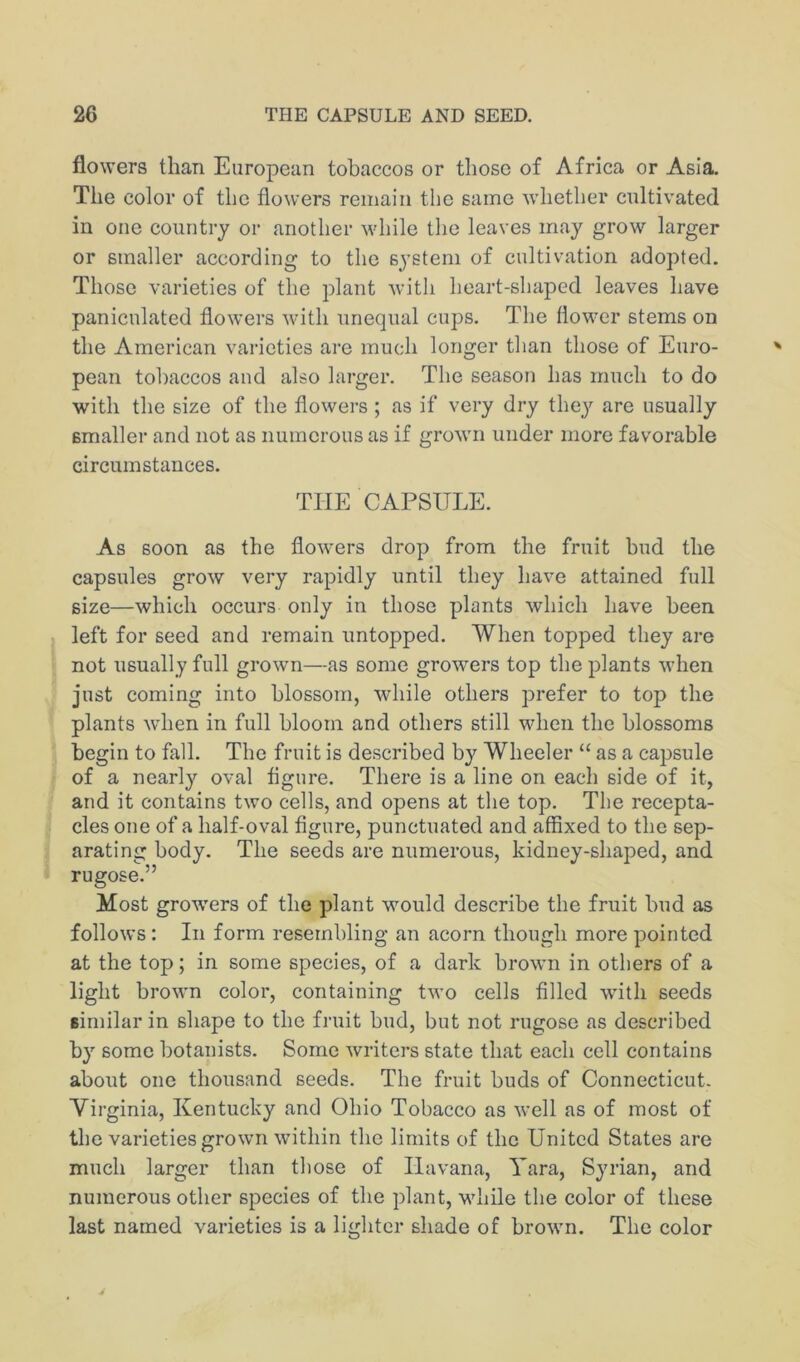 flowers than European tobaccos or those of Africa or Asia. The color of the flowers remain the same whether cultivated in one country or another while the leaves may grow larger or smaller according to the system of cultivation adopted. Those varieties of the plant with heart-shaped leaves have paniculated flowers with unequal cups. The flower stems on the American varieties are much longer than those of Euro- pean tobaccos and also larger. The season has much to do with the size of the flowers ; as if very dry the}^ are usually smaller and not as numerous as if grown under more favorable circumstances. THE CAPSULE. As soon as the flowmrs drop from the fruit bud the capsules grow very rapidly until they have attained full size—which occurs only in those plants which have been left for seed and remain untopped. When topped they are not usually full grown—as some growers top the plants when just coming into blossom, while others prefer to top the plants when in full bloom and others still when the blossoms begin to fall. The fruit is described by Wheeler “ as a capsule of a nearly oval flgure. There is a line on each side of it, and it contains two cells, and opens at the top. The recepta- cles one of a half-oval figure, punctuated and affixed to the sep- arating body. The seeds are numerous, kidney-shaped, and rugose.” Most grow’ers of the plant would describe the fruit bud as follows: In form resembling an acorn though more pointed at the top; in some species, of a dark brown in others of a light brown color, containing two cells filled with seeds Bimilar in shape to the fruit bud, but not rugose as described by some botanists. Some writers state that each cell contains about one thousand seeds. The fruit buds of Connecticut. Virginia, Kentucky and Ohio Tobacco as well as of most of the varieties grown within the limits of the United States are much larger than those of Havana, Yara, Syrian, and numerous other species of the plant, while the color of these last named varieties is a lighter shade of browm. The color