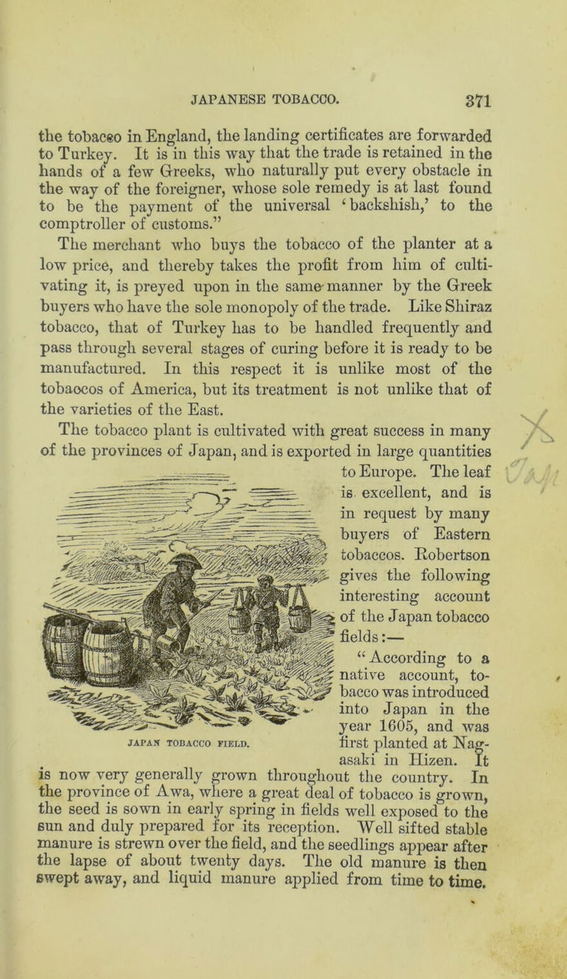 the tobaceo in England, the landing certificates are forwarded to Turkey. It is in this way that the trade is retained in the hands of a few Greeks, who naturally put every obstacle in the way of the foreigner, whose sole remedy is at last found to be the payment of the universal ‘backshish,’ to the comptroller of customs.” The merchant who buys the tobacco of the planter at a low price, and thereby takes the profit from him of culti- vating it, is preyed upon in the same- manner by the Greek buyers who have the sole monopoly of the trade. Like Shiraz tobacco, that of Turkey has to be handled frequently and pass through several stages of curing before it is ready to be manufactured. In this respect it is unlike most of the tobaocos of America, but its treatment is not unlike that of the varieties of the East. The tobacco plant is cultivated with great success in many of the provinces of Japan, and is exported in large quantities to Europe. The leaf is. excellent, and is in request by many buyers of Eastern tobaccos. Robertson gives the following interesting account of the Japan tobacco fields:— “According to a nativ’^e account, to- bacco was introduced into Japan in the year 1605, and was jAPAK TOBACCO FiKLD. fii'st planted at Nag- asaki in Hizen. It is now very generally grown throughout the country. In the province of Awa, where a great deal of tobacco is grown, the seed is sown in early spring in fields well exposed to the sun and duly prepared for its reception. Well sifted stable manure is strewn over the field, and the seedlings appear after the lapse of about twenty days. The old manure is then swept away, and liquid manure applied from time to time.