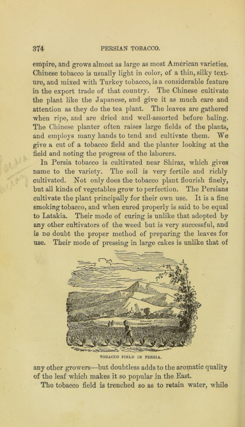 empire, and grows almost as large as most American varieties. Chinese tobacco is nsnally light in color, of a thin, silky text- ure, and mixed with Turkey tobacco, is a considerable feature in the export trade of that country. The Chinese cultivate the plant like the Japanese, and give it as much care and attention as they do the tea plant. The leaves are gathered when ripe, and are dried and well-assorted before baling. The Chinese planter often raises large fields of the plants, and employs many hands to tend and cultivate them. We give a cut of a tobacco field and the planter looking at the field and noting the progress of the laborers. In Persia tobacco is cultivated near Shiraz, which gives name to the variety. The soil is very fertile and richly cultivated. Not only does the tobacco plant flourish finely, but all kinds of vegetables grow to perfection. The Persians cultivate the plant principally for their own use. It is a fine smoking tobacco, and when cured properly is said to be equal to Latakia. Their mode of curing is unlike that adopted by any other cultivators of the weed but is very successful, and is no doubt the proper method of preparing the leaves for use. Their mode of pressing in large cakes is unlike that of TOBACCO FIKLD IN PERSIA. any other growers—but doubtless adds to the aromatic quality of the leaf which makes it so popular in the East. The tobacco field is trenched so as to retain water, while