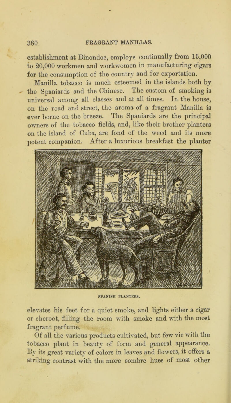 establisliment at Binondoc, employs continually from 15,000 to 20,000 workmen and workwomen in manufacturing cigars for the consumption of the country and for exportation. Manilla tobacco is much esteemed in the islands both by the Spaniards and the Chinese. The custom of smoking is universal among all classes and at all times. In the house, on the road and street, the aroma of a fragrant Manilla is ever borne on the breeze. The Spaniards are the principal owners of the tobacco fields, and, like their brother planters on the island of Cuba, are fond of the weed and its more potent companion. After a luxurious breakfast the planter SPANISH PLANTERS. elevates his feet for a quiet smoke, and lights either a cigar or cheroot, filling the room with smoke and with the most fragrant perfume. Of all the various products cultivated, but few vie with the tobacco plant in beauty of form and general appearance. '^7 its great variety of colors in leaves and fiowers, it offers a striking contrast with the more sombre hues of most other