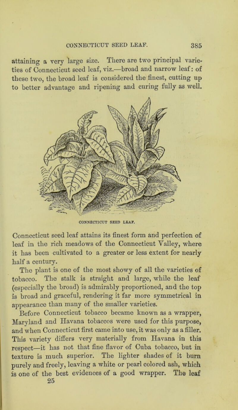 attaining a very large size. There are two principal varie- ties of Connecticut seed leaf, viz.—broad and narrow leaf: of these two, the broad leaf is considered the finest, cutting up to better advantage and ripening and curing fully as well. CONNECTICUT SEED LEAF. Connecticut seed leaf attains its finest form and perfection of leaf in the rich meadows of the Connecticut Valley, where it has been cultivated to a greater or less extent for nearly half a century. The plant is one of the most showy of all the varieties of tobacco. The stalk is straight and large, while the leaf (especially the broad) is admirably proportioned, and the top is broad and graceful, rendering it far more symmetrical in appearance than many of the smaller varieties. Before Connecticut tobacco became known as a wrapper, Maryland and Havana tobaccos wxre used for this purpose, and when Connecticut first came into use, it was only as a filler. This variety differs very materially from Havana in this respect—it has not that fine flavor of Cuba tobacco, but in texture is much superior. The lighter shades of it burn purely and freely, leaving a white or pearl colored ash, which is one of the best evidences of a good wrapper. The leaf 25