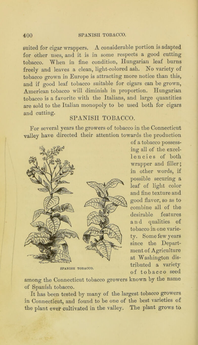 suited for cigar wrappers. A considerable portion is adapted for other uses, and it is in some respects a good cutting tobacco. When in fine condition, Hungarian leaf burns freely and leaves a clean, light-colored ash. No variety of tobacco grown in Europe is attracting more notice than this, and if good leaf tobacco suitable for cigars can be grown, American tobacco will diminish in proportion. Hungarian tobacco is a favorite with the Italians, and large quantities are sold to the Italian monopoly to be used both for cigars and cutting. SPANISH TOBACCO. For several years the growers of tobacco in the Connecticut valley have directed their attention towards the production of a tobacco possess- ing all of the excel- 1 e n c i e s of both wrapper and filler; in other words, if possible securing a leaf of light color and fine texture and good flavor, so as to combine all of the desirable features a 11 d qualities of tobacco in one varie- ty. Some few years since the Depart- ment of Agriculture at Washington dis- tributed a variety SPANISH TOBACCO. of tobacco seed among the Connecticut tobacco growers known by the name of Spanish tobacco. It has been tested by many of the largest tobacco growers in Connecticut, and found to be one of the best varieties of the plant ever cultivated in the valley. The plant grows to