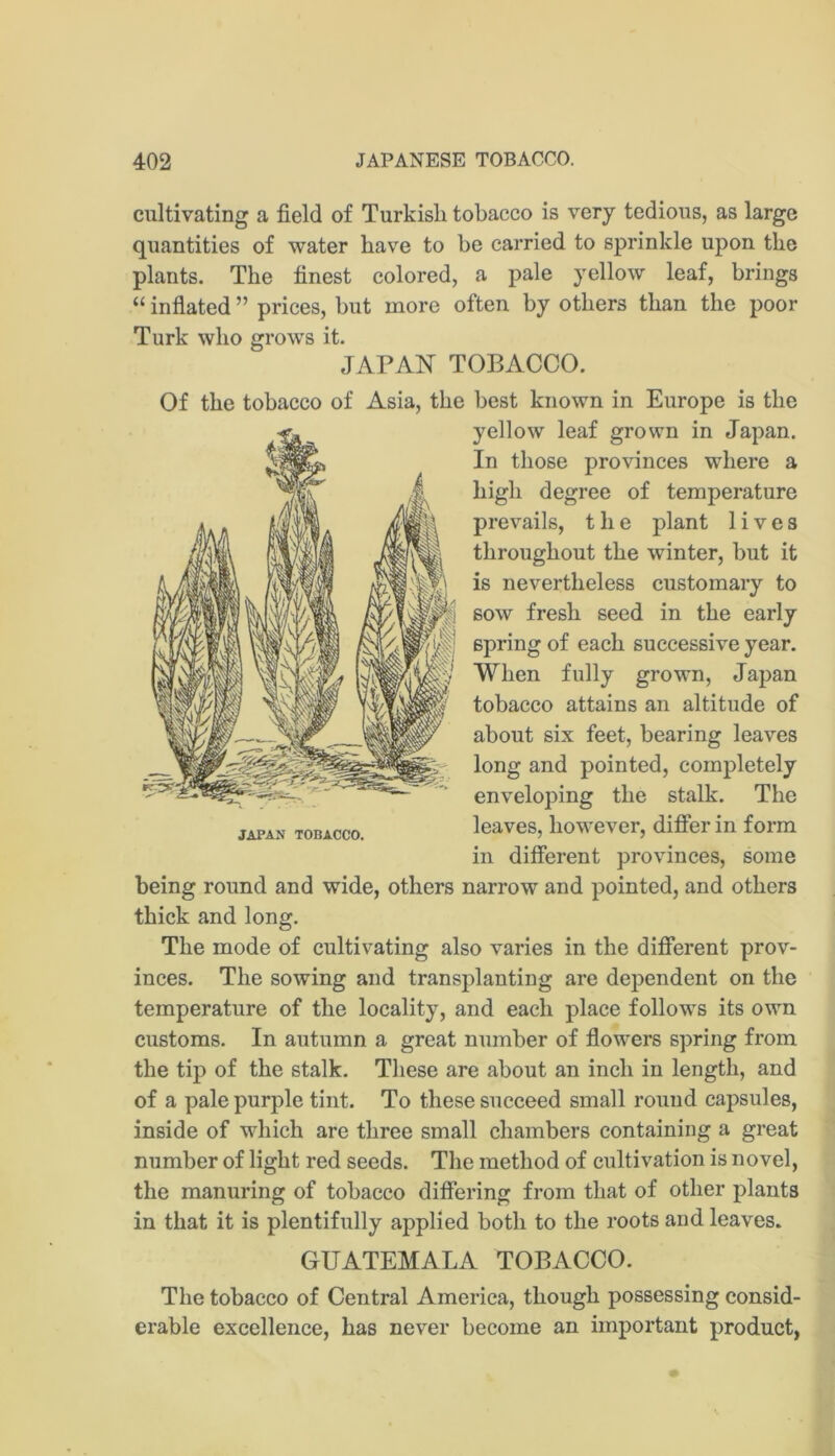 cultivating a field of Turkisli tobacco is very tedious, as large quantities of water have to be carried to sprinkle upon the plants. The finest colored, a pale yellow leaf, brings “ infiated ” prices, but more often by others than the poor Turk who grows it. JAPAN TOBACCO. Of the tobacco of Asia, the best known in Europe is the yellow leaf grown in Japan. In those provinces where a high degree of temperature prevails, t h e plant lives throughout the winter, but it is nevertheless customary to sow fresh seed in the early spring of each successive year. When fully grown, Japan tobacco attains an altitude of about six feet, bearing leaves long and pointed, completely enveloping the stalk. The leaves, however, differ in form in different provinces, some being round and wide, others narrow and pointed, and others thick and long. The mode of cultivating also varies in the different prov- inces. The sowing and transplanting are dependent on the temperature of the locality, and each place follows its own customs. In autumn a great number of flowers spring from the tip of the stalk. These are about an inch in length, and of a pale purple tint. To these succeed small round capsules, inside of which are three small chambers containing a great number of light red seeds. The method of cultivation is novel, the manuring of tobacco differing from that of other plants in that it is plentifully applied both to the roots and leaves. GUATEMALA TOBACCO. The tobacco of Central America, though possessing consid- erable excellence, has never become an important product,