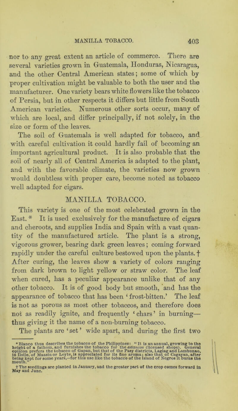 nor to any great extent an article of commerce. There are several varieties grown in Guatemala, Honduras, Nicaragua, and the other Central American states; some of which by proper cultivation might be valuable to both the user and the manufacturer. One variety bears white flowers like the tobacco of Persia, but in other respects it differs but little from South American varieties. Numerous other sorts occur, many of which are local, and differ principally, if not solely, in the size or form of the leaves. The soil of Guatemala is ■well adapted for tobacco, and with careful cultivation it could hardly fail of becoming an important agricultural product. It is also probable that the soil of nearly all of Central America is adapted to the plant, and with the favorable climate, the varieties now grown would doubtless with proper care, become noted as tobacco well adapted for cigars. MANILLA TOBACCO. This variety is one of the most celebrated grown in the East. * It is used exclusively for the manufacture of cigars and cheroots, and supplies India and Spain with a vast quan- tity of the manufactured article. The plant is a strong, vigorous grower, bearing dark green leaves; coming forward rapidly under the careful culture bestowed upon the plants, f After curing, the leaves show a variety of colors ranging from dark brown to light yellow or straw color. The leaf ■when cured, has a peculiar appearance unlike that of any other tobacco. It is of good body but smooth, and has the appearance of tobacco that has been ‘ frost-bitten.’ The leaf is not as porous as most other tobaccos, and therefore does not as readily ignite, and frequently ‘ chars ’ in burning— thus giving it the name of a non-burning tobacco. The plants are ‘ set ’ wide apart, and during the first two • Blanco thus describes the tobacco of the Philippines: “ It is an annual, growing to the height of a fathom, and furnishes the tobacco for the entaricon (licensed shops). General opinion prefers the tobacco of Gapan, but that of the Pasy districts, Laglag andLambunao, In Iloilo, of Maaslnor Leyte,Is appreciated for its fine aroma: also that or Cagayan,after being kept for some years,—for this use like the tobacco of the island of Negros It burns the mouth.” t The seedlings are planted In January, and the greater part of the crop comes forward In May and June.