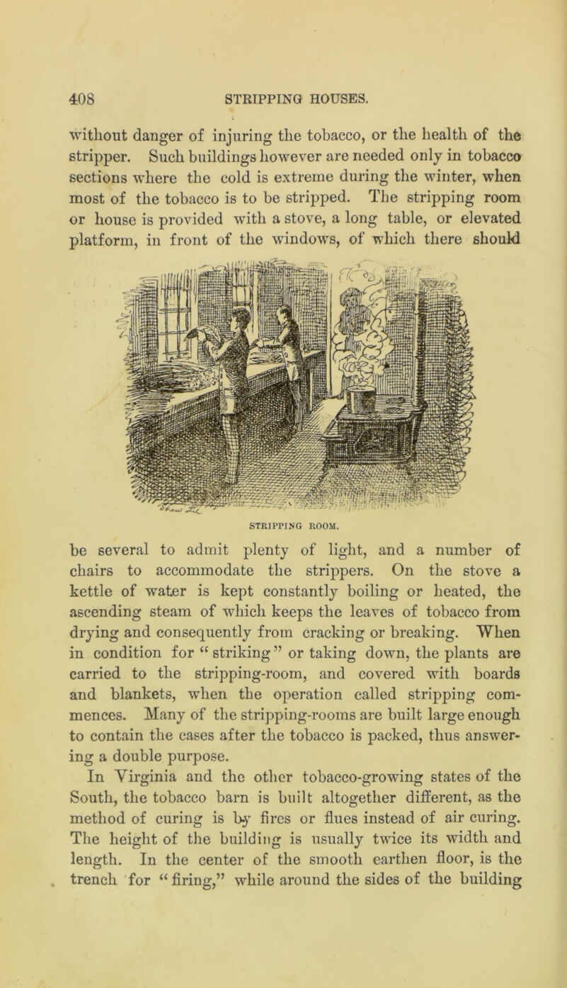 without danger of injuring the tobacco, or the health of the stripper. Such buildings howev'er are needed only in tobacco sections where the cold is extreme during the winter, when most of the tobacco is to be stripped. The stripping room or house is provided with a stove, a long table, or elevated platform, in front of the windows, of which there should be several to admit plenty of light, and a number of chairs to accommodate the strippers. On the stove a kettle of water is kept constantly boiling or heated, the ascending steam of which keeps the leaves of tobacco from drying and consequently from cracking or breaking. When in condition for “ striking ” or taking down, the plants are carried to the stripping-room, and covered with boards and blankets, when the operation called stripping com- mences. Many of the stripping-rooms are built large enough to contain the cases after the tobacco is packed, thus answer- ing a double purpose. In Virginia and the other tobacco-growing states of the South, the tobacco barn is built altogether different, as the method of curing is b-y fires or flues instead of air curing. The height of the building is usually twice its width and length. In the center of the smooth earthen floor, is the , trench for “ firing,” while around the sides of the building