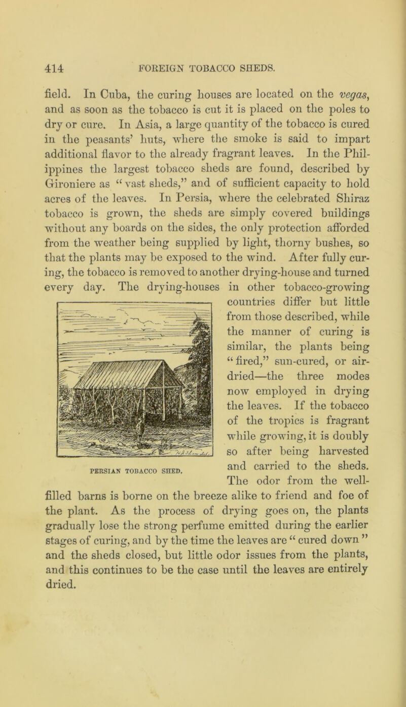 field. In Cuba, the curing houses are located on the vegas^ and as soon as the tobacco is cut it is placed on the poles to dry or cure. In Asia, a large quantity of the tobacco is cured in the peasants’ huts, where the smoke is said to impart additional flavor to the already fragrant leaves. In the Phil- ippines the largest tobacco sheds are found, described by Gironiere as “ vast sheds,” and of sufficient capacity to hold acres of the leaves. In Persia, where the celebrated Shiraz tobacco is grown, the sheds are simply covered buildings without any boards on the sides, the only protection afforded, from the weather being supplied by light, thorny bushes, so that the plants may be exposed to the wind. After fully cur- ing, the tobacco is removed to another drying-house and turned every day. The drying-houses in other tobacco-growing countries differ but little from those described, while the manner of curing is similar, the plants being “ fired,” sun-cured, or air- dried—the three modes now employed in drying the leaves. If the tobacco of the tropics is fragrant while growing, it is doubly so after being harvested and carried to the sheds. The odor from the well- filled barns is borne on the breeze alike to friend and foe of the plant. As the process of drying goes on, the plants gradually lose the strong perfume emitted during the earlier stages of curing, and by the time the leaves are “ cured down ” and th,e sheds closed, but little odor issues from the plants, and this continues to be the case until the leaves are entirely dried.