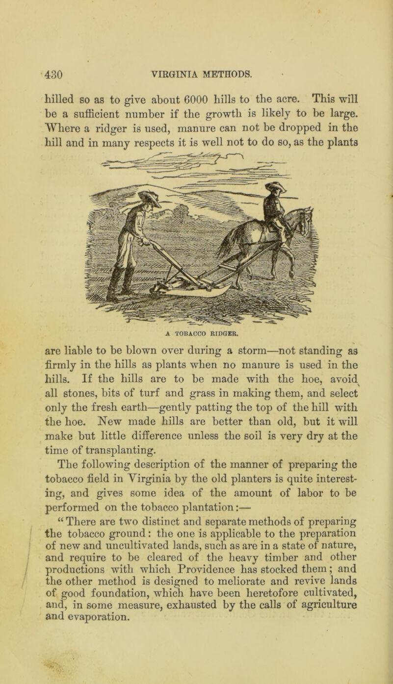 hilled so as to give about 6000 hills to the acre. This will be a sufficient number if the growth is likely to be large. Where a ridger is used, manure can not be dropped in the hill and in many respects it is well not to do so, as the plants A TOBACCO RIDGER. are liable to be blown over during a storm—not standing as firmly in the hills as plants when no manure is used in the hills. If the hills are to be made with the hoe, avoid all stones, bits of turf and grass in making them, and select only the fresh earth—gently patting the top of the hill with the hoe. New made hills are better than old, but it will make but little difference unless the soil is very dry at the time of transplanting. The following description of the manner of preparing the tobacco field in Virginia by the old planters is quite interest- ing, and gives some idea of the amount of labor to be performed on the tobacco plantation:— “There are two distinct and separate methods of preparing the tobacco ground: the one is applicable to the preparation of new and uncultivated lands, such as are in a state of nature, and require to be cleared of tlie heavy timber and other productions with which Providence has stocked them; and the other method is designed to meliorate and revive lands of good foundation, which have been heretofore cultivated, and, in some measure, exhausted by the calls of agriculture and evaporation.