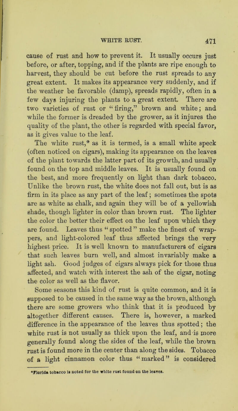 cause of rust and how to prevent it. It usually occurs just before, or after, topping, and if the plants are ripe enough to harvest, they should be cut before the rust spreads to any great extent. It makes its appearance very suddenly, and if the weather be favorable (damp), spreads rapidly, often in a few days injuring the plants to a great extent- There are two varieties of rust or “ firing,” brown and white; and while the former is dreaded by the grower, as it injures the quality of the plant, the other is regarded with special favor, as it gives value to the leaf. The white rust,* as it is termed, is a small white speck (often noticed on cigars), making its appearance on the leaves of the plant towards the latter part of its growth, and usually found on the top and middle leaves. It is usually found on the best, and more frequently on light than dark tobacco. Unlike the brown rust, the white does not fall out, but is as firm in its place as any part of the leaf; sometimes the spots are as white as chalk, and again they will be of a yellowish shade, though lighter in color than brown rust. The lighter the color the better their effect on the leaf upon which they are found. Leaves thus “ spotted ” make the finest of wrap- pers, and light-colored leaf thus affected brings the very highest price. It is well known to manufacturers of cigars that such leaves burn well, and almost invariably make a light ash. Good judges of cigars always pick for those thus affected, and watch with interest the ash of the cigar, noting the color as well as the flavor. Some seasons this kind of rust is quite common, and it is supposed to be caused in the same way as the brown, although there are some growers who think that it is produced by altogether different causes. There is, however, a marked difference in the appearance of the leaves thus spotted; the white rust is not usually as thick upon the leaf, and -is more generally found along the sides of the leaf, while the brown rust is found more in the center than along the sides. Tobacco of a light cinnamon color thus “marked” is considered *f1orld» tobacco ii noted for the wblte ruit found on the leaTCi.