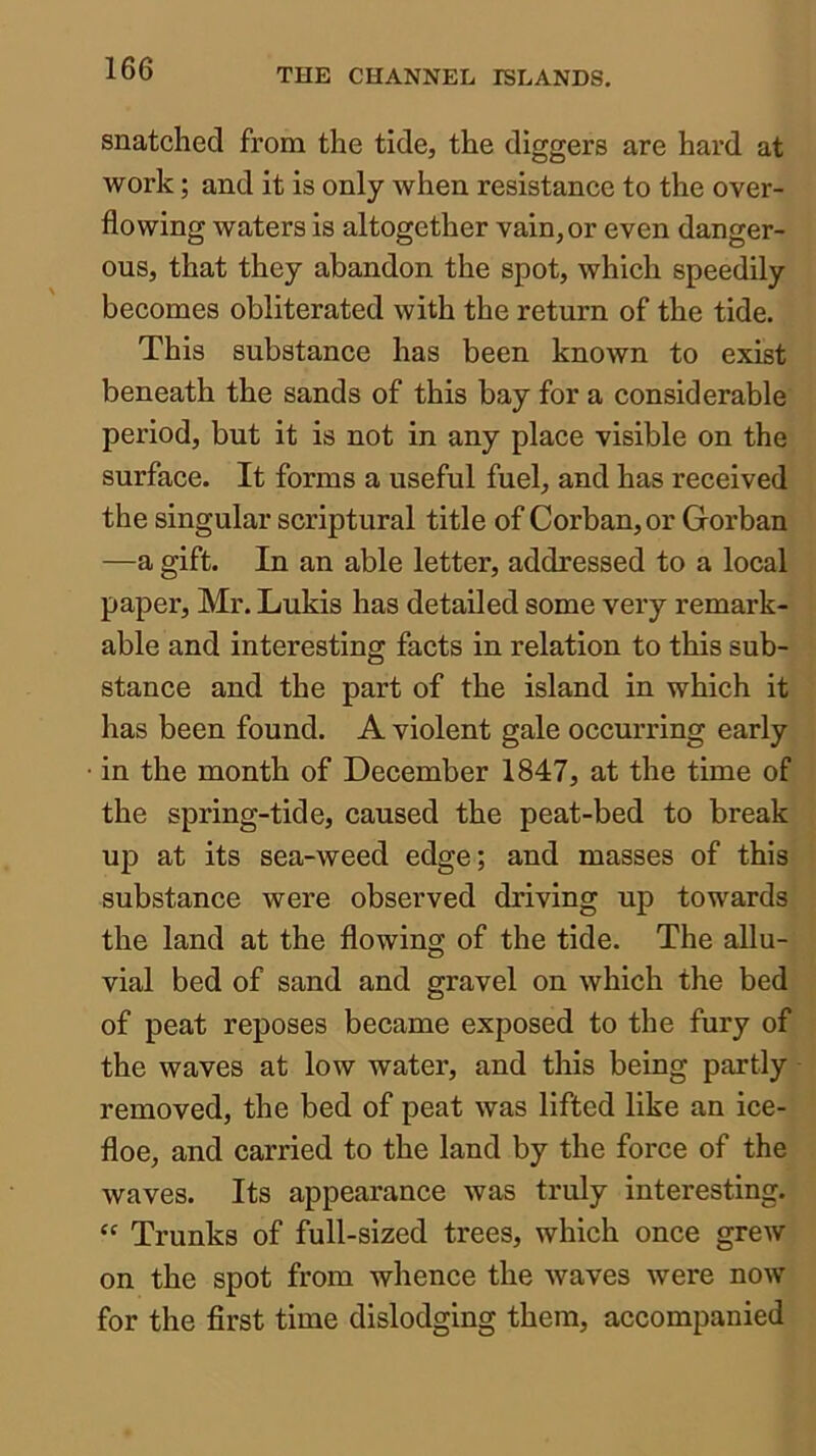 snatched from the tide, the diggers are hard at work; and it is only when resistance to the over- flowing waters is altogether vain, or even danger- ous, that they abandon the spot, which speedily becomes obliterated with the return of the tide. This substance has been known to exist beneath the sands of this bay for a considerable period, but it is not in any place visible on the surface. It forms a useful fuel, and has received the singular scriptural title of Corban,or Gorban —a gift. In an able letter, addressed to a local paper, Mr. Lukis has detailed some very remark- able and interesting facts in relation to this sub- stance and the part of the island in which it has been found. A violent gale occurring early in the month of December 1847, at the time of the spring-tide, caused the peat-bed to break uj) at its sea-weed edge; and masses of this substance were observed driving up towards the land at the flowing of the tide. The allu- vial bed of sand and gravel on which the bed of peat reposes became exposed to the fury of the waves at low water, and this being partly removed, the bed of peat was lifted like an ice- floe, and carried to the land by the force of the waves. Its appearance was truly interesting. “ Trunks of full-sized trees, which once grew on the spot from whence the waves were now for the first time dislodging them, accompanied