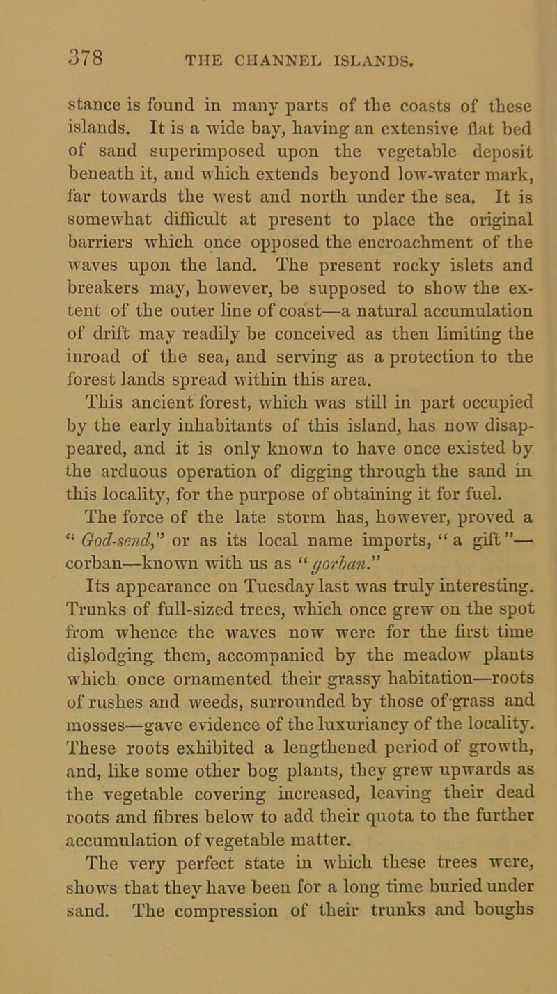 stance is found in many parts of the coasts of these islands. It is a wide bay, having an extensive flat bed of sand superimposed upon the vegetable deposit beneath it, and which extends beyond low-water mark, far towards the west and north under the sea. It is somewhat difficult at present to place the original barriers which once opposed the encroachment of the waves upon the land. The present rocky islets and breakers may, however, be supposed to show the ex- tent of the outer line of coast—a natural accumulation of drift may readily be conceived as then limiting the inroad of the sea, and serving as a protection to the forest lands spread within this area. This ancient forest, which w'as still in part occupied by the early inhabitants of this island, has now disap- peared, and it is only known to have once existed by the arduous operation of digging through the sand in this locality, for the purpose of obtaining it for fuel. The force of the late storm has, however, proved a “ Ood-send,’’ or as its local name imports, “a gift”— corban—known with us as gorhan. Its appearance on Tuesday last was truly interesting. Trunks of full-sized trees, which once grew on the spot from whence the w'aves now were for the first time dislodging them, accompanied by the meadow plants w'hich once ornamented their grassy habitation—roots of rushes and weeds, surrouuded by those of-grass and mosses—gave evidence of the luxuriancy of the locality. These roots exhibited a lengthened period of growth, and, like some other bog plants, they grew upwards as the vegetable covering increased, leaving their dead roots and fibres below to add their quota to the further accumulation of vegetable matter. The very pei’fect state in which these trees were, shows that they have been for a long time buried under sand. The compression of their trunks and boughs