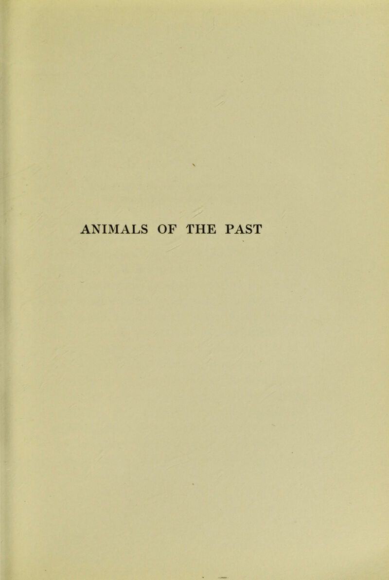 ANIMALS OF THE PAST