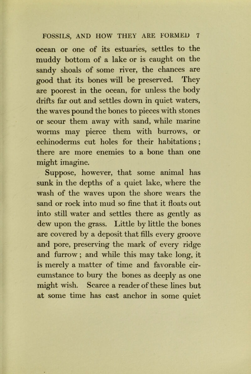 ocean or one of its estuaries, settles to the muddy bottom of a lake or is caught on the sandy shoals of some river, the chances are good that its bones will be preserved. They are poorest in the ocean, for unless the body drifts far out and settles down in quiet waters, the waves pound the bones to pieces with stones or scour them away with sand, while marine worms may pierce them with burrows, or echinoderms cut holes for their habitations; there are more enemies to a bone than one might imagine. Suppose, however, that some animal has sunk in the depths of a quiet lake, where the wash of the waves upon the shore wears the sand or rock into mud so fine that it floats out into still water and settles there as gently as dew upon the grass. Little by little the bones are covered by a deposit that fills every groove and pore, preserving the mark of every ridge and furrow; and while this may take long, it is merely a matter of time and favorable cir- cumstance to bury the bones as deeply as one might wish. Scarce a reader of these lines but at some time has cast anchor in some quiet