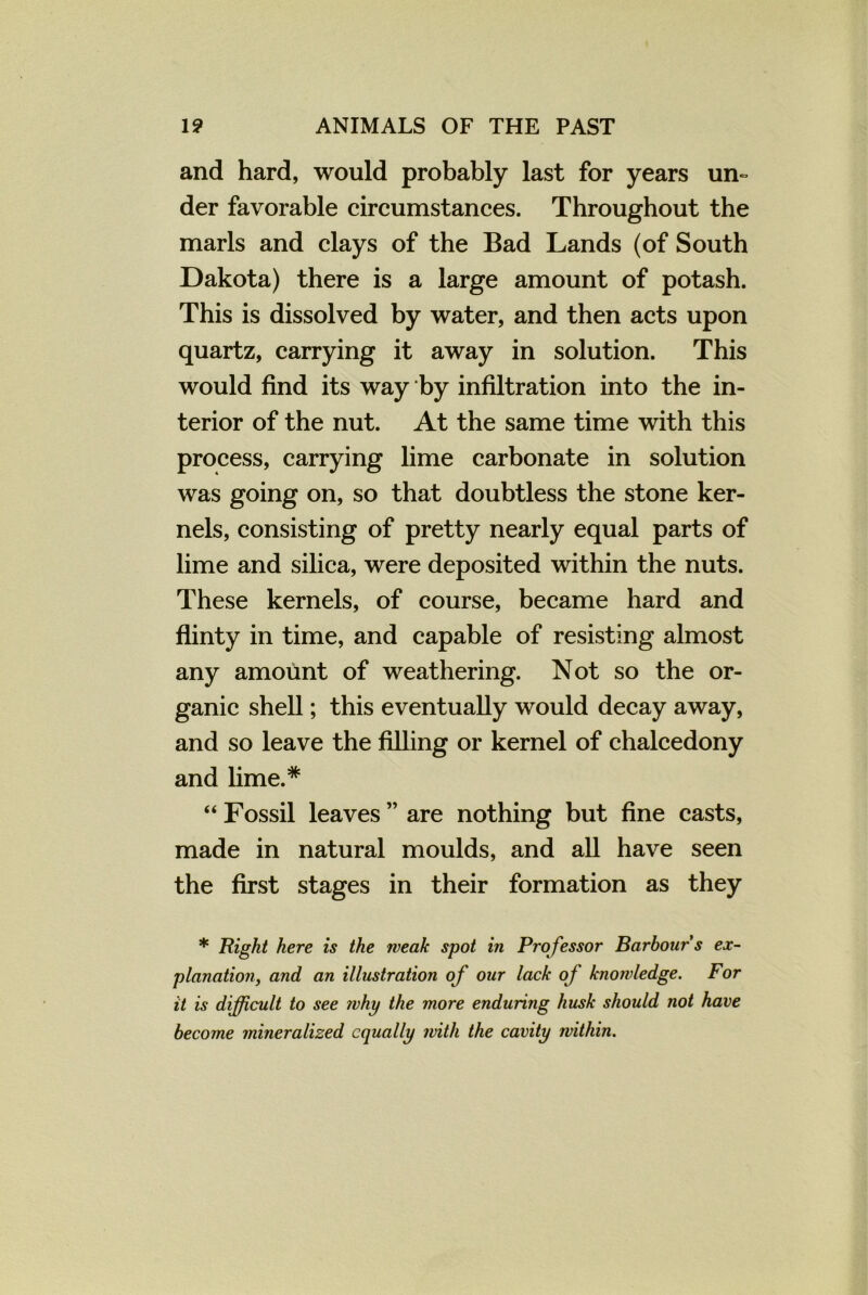 and hard, would probably last for years un- der favorable circumstances. Throughout the marls and clays of the Bad Lands (of South Dakota) there is a large amount of potash. This is dissolved by water, and then acts upon quartz, carrying it away in solution. This would find its way by infiltration into the in- terior of the nut. At the same time with this process, carrying lime carbonate in solution was going on, so that doubtless the stone ker- nels, consisting of pretty nearly equal parts of lime and silica, were deposited within the nuts. These kernels, of course, became hard and flinty in time, and capable of resisting almost any amount of weathering. Not so the or- ganic shell; this eventually would decay away, and so leave the filling or kernel of chalcedony and lime.* “ Fossil leaves ” are nothing but fine casts, made in natural moulds, and all have seen the first stages in their formation as they * Hight here is the weak spot in Pro fessor Barbour s ex- planation, and an illustration of our lack of knowledge. For it is difficult to see why the more enduring husk should not have become mineralized equally with the cavity ivithin.